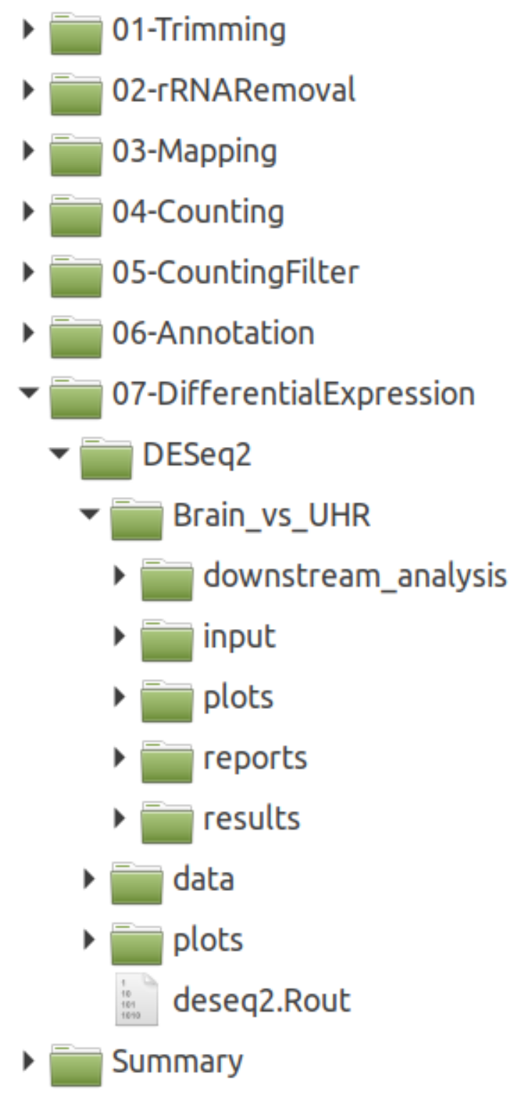 Genes 11 01487 g002 Genes 11 01487 g002