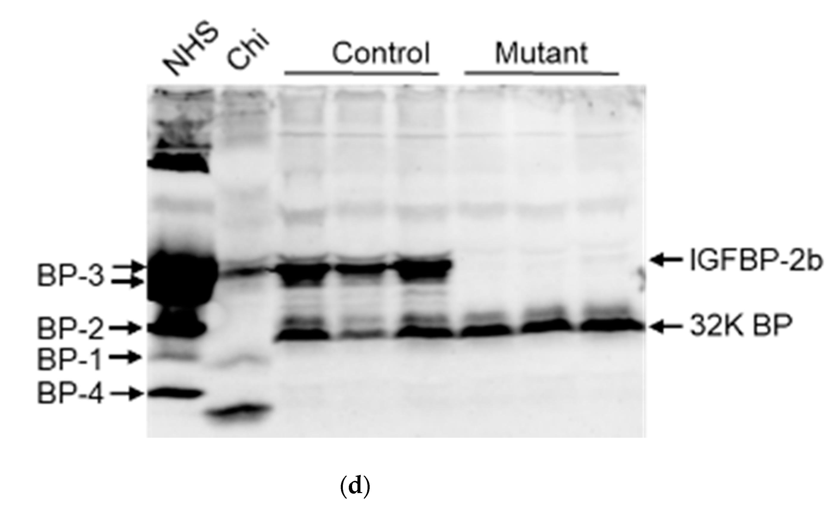 Genes 11 01488 g001c Genes 11 01488 g001c