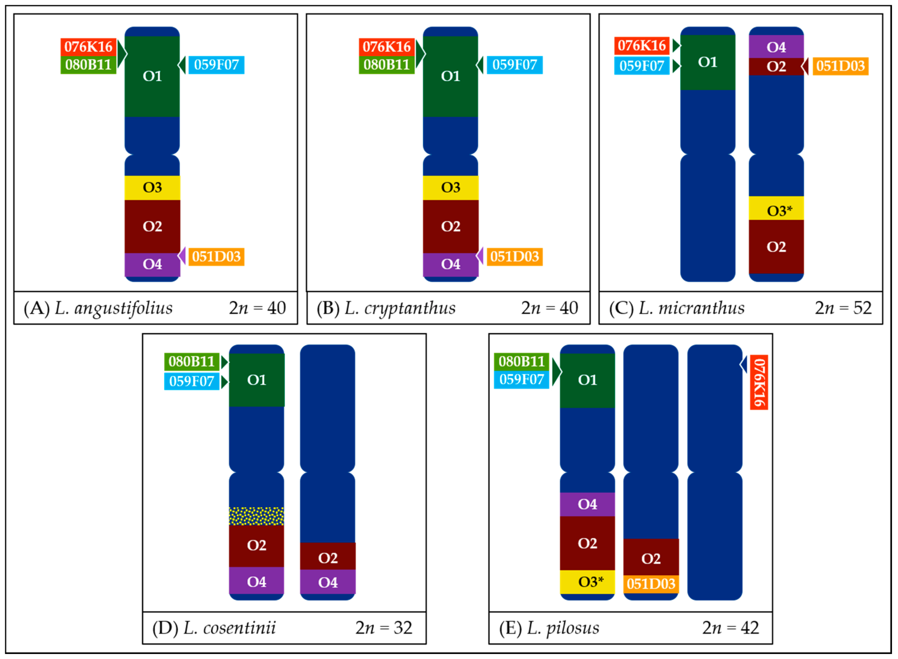 Genes 11 01489 g008 Genes 11 01489 g008