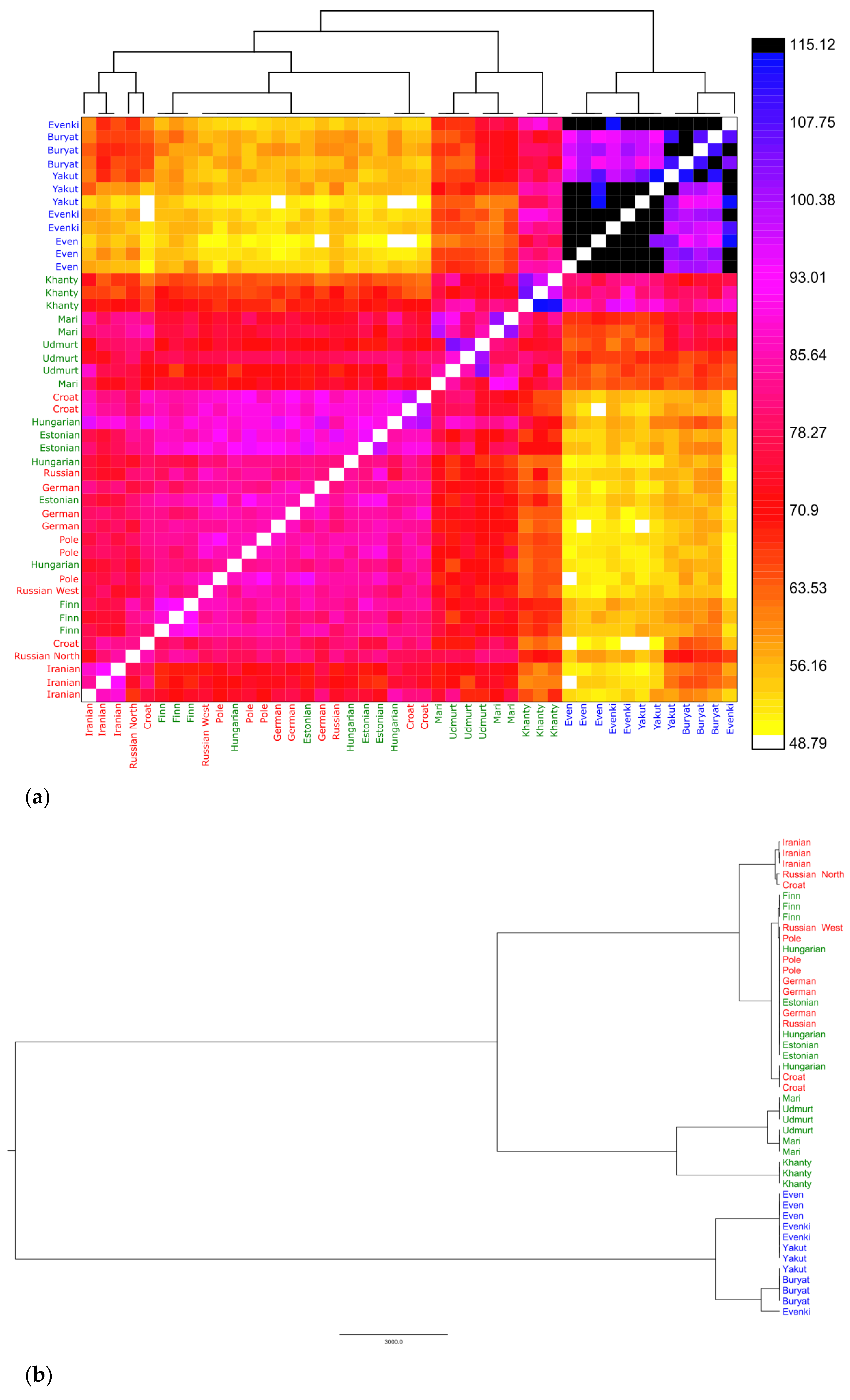Genes 11 01491 g005 Genes 11 01491 g005