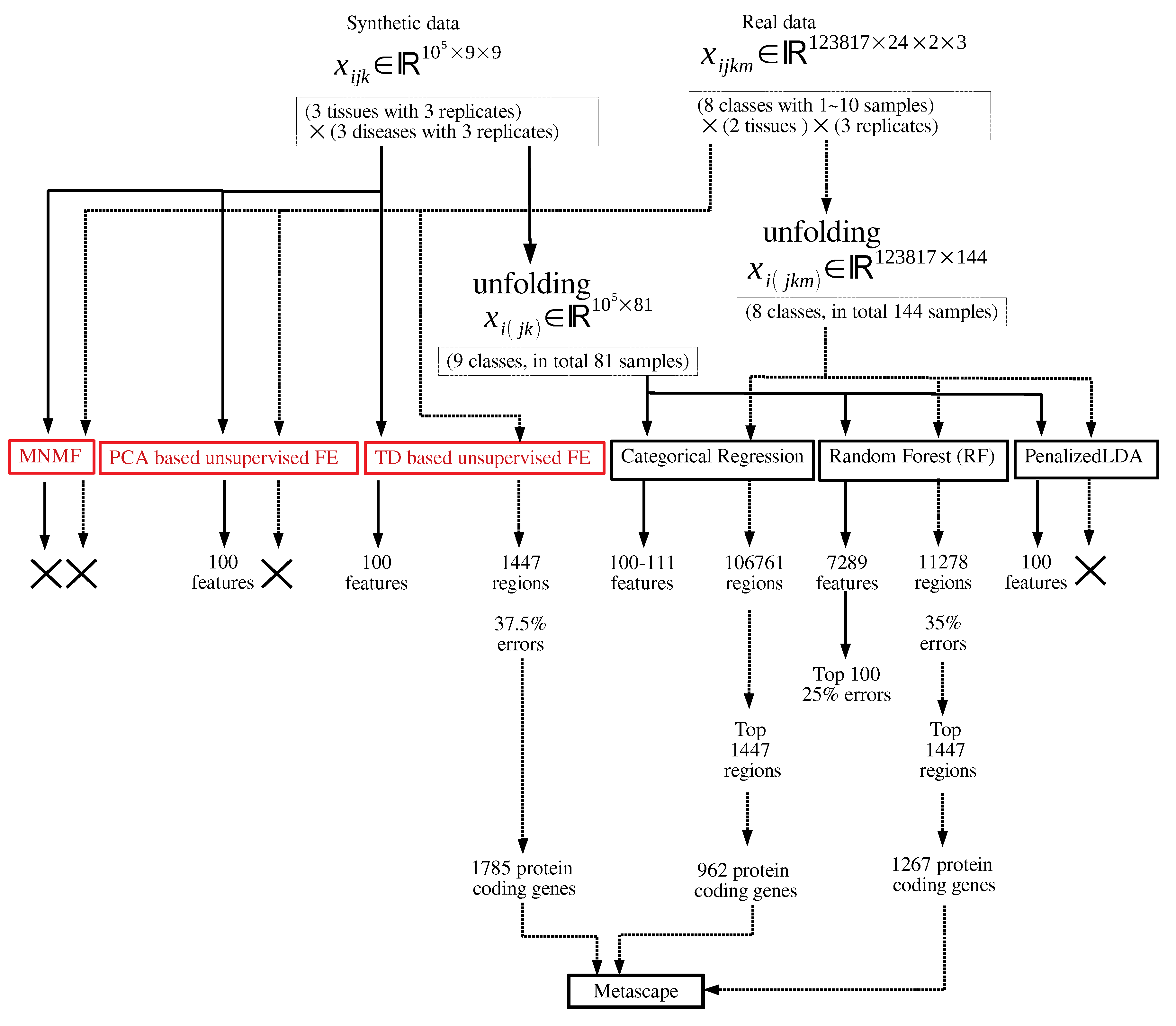 Genes 11 01493 g001 Genes 11 01493 g001