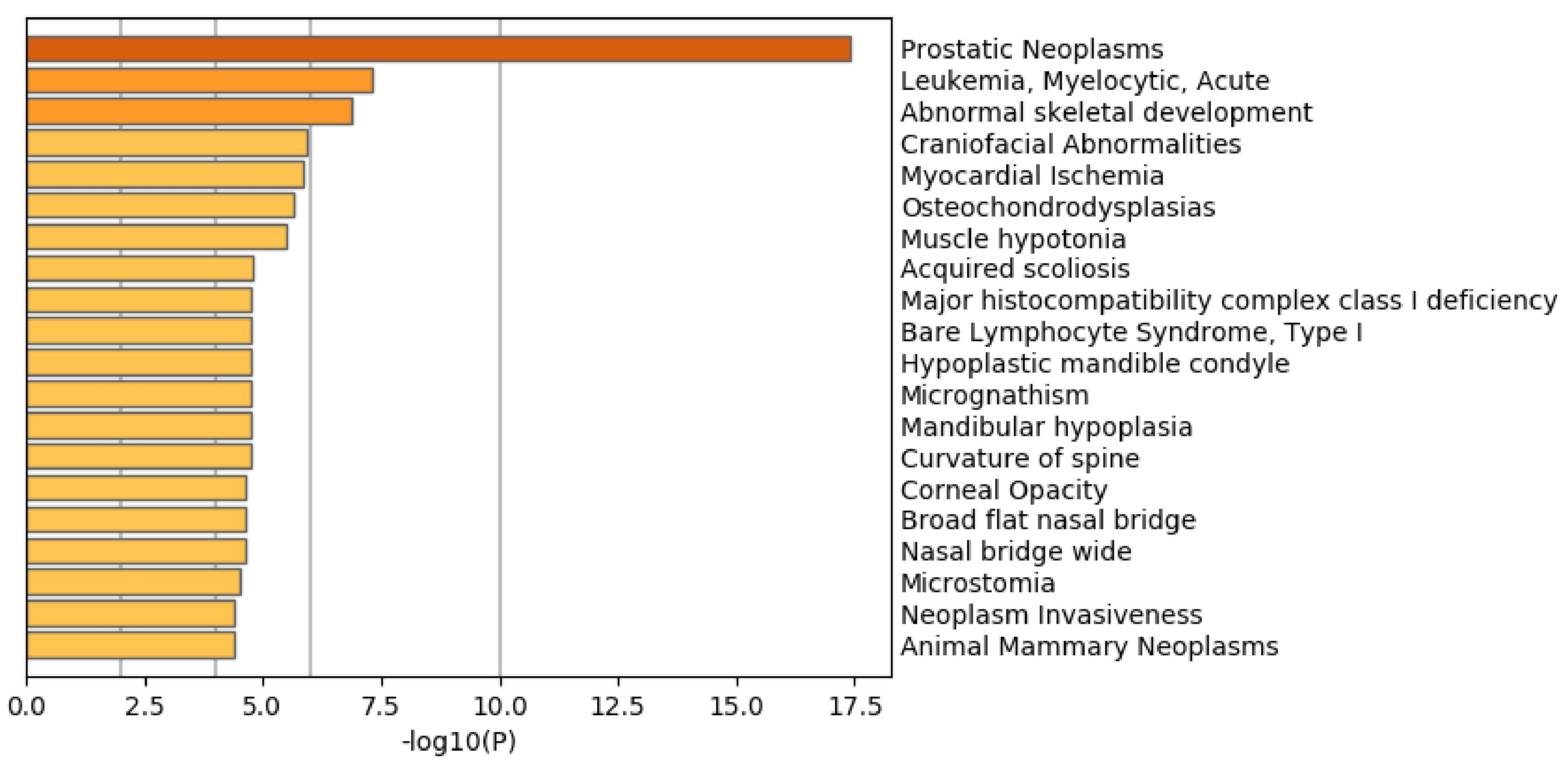 Genes 11 01493 g007 Genes 11 01493 g007