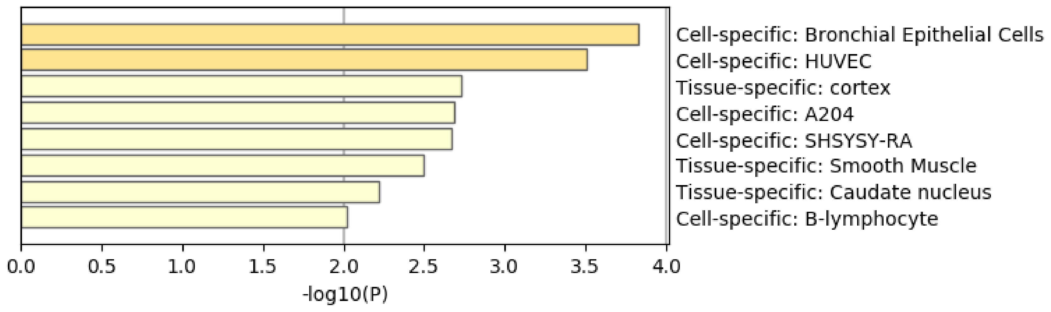 Genes 11 01493 g013 Genes 11 01493 g013