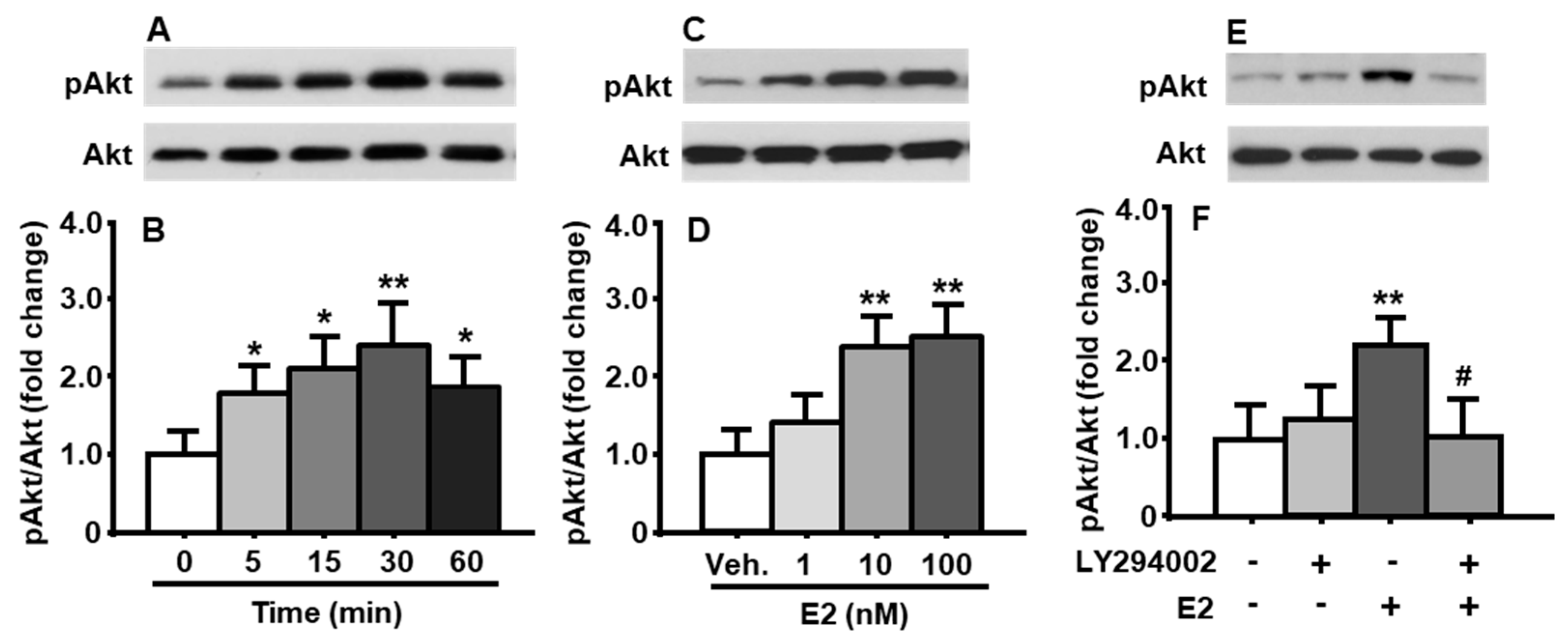 Genes 11 01494 g001