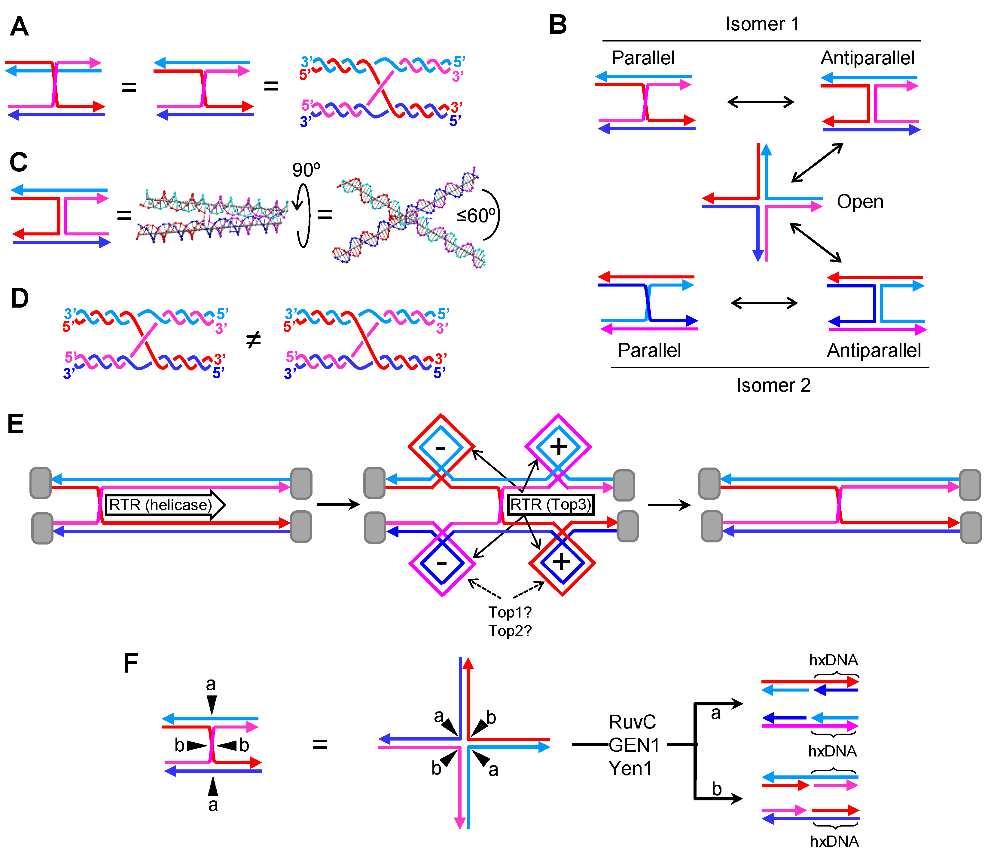 Genes 11 01498 g002