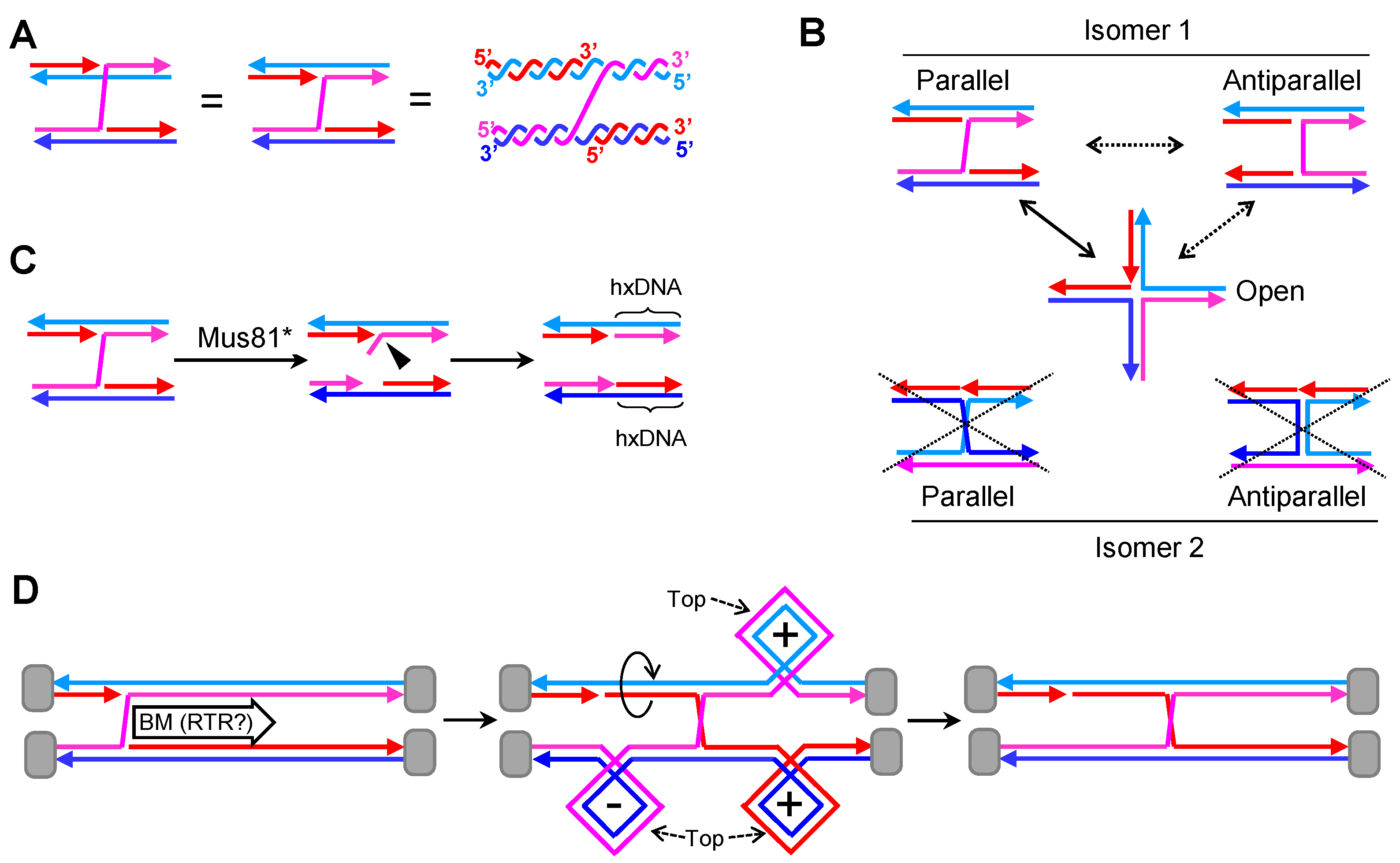Genes 11 01498 g003