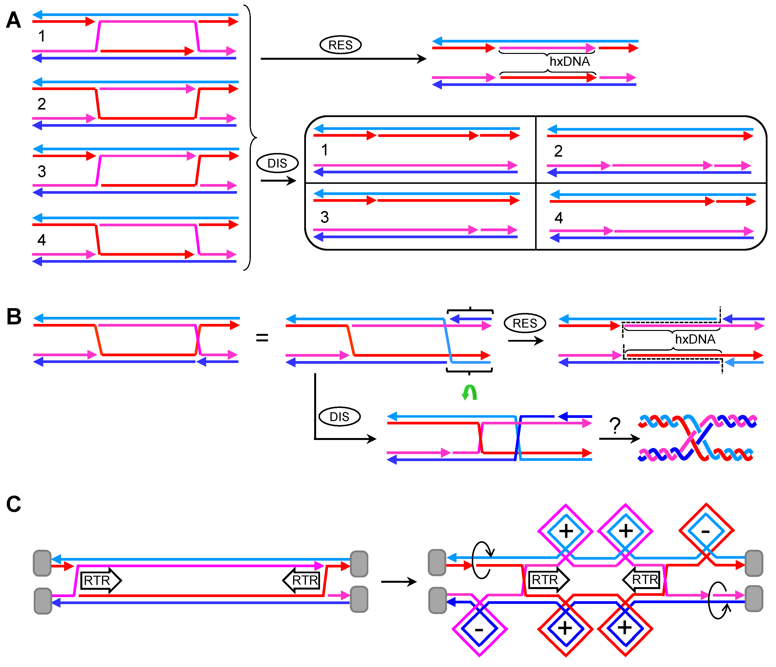 Genes 11 01498 g005