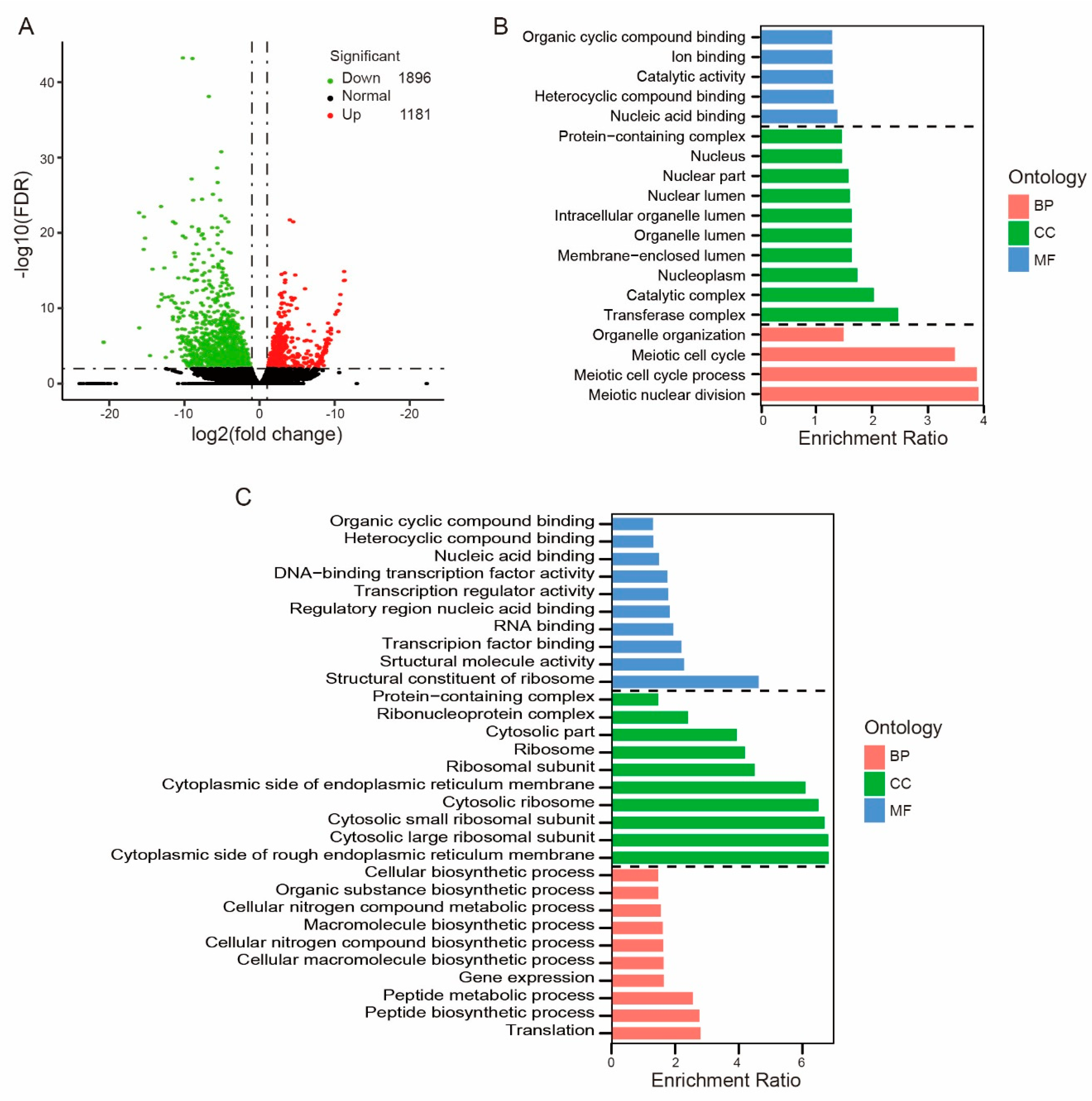 Genes 11 01499 g002 Genes 11 01499 g002