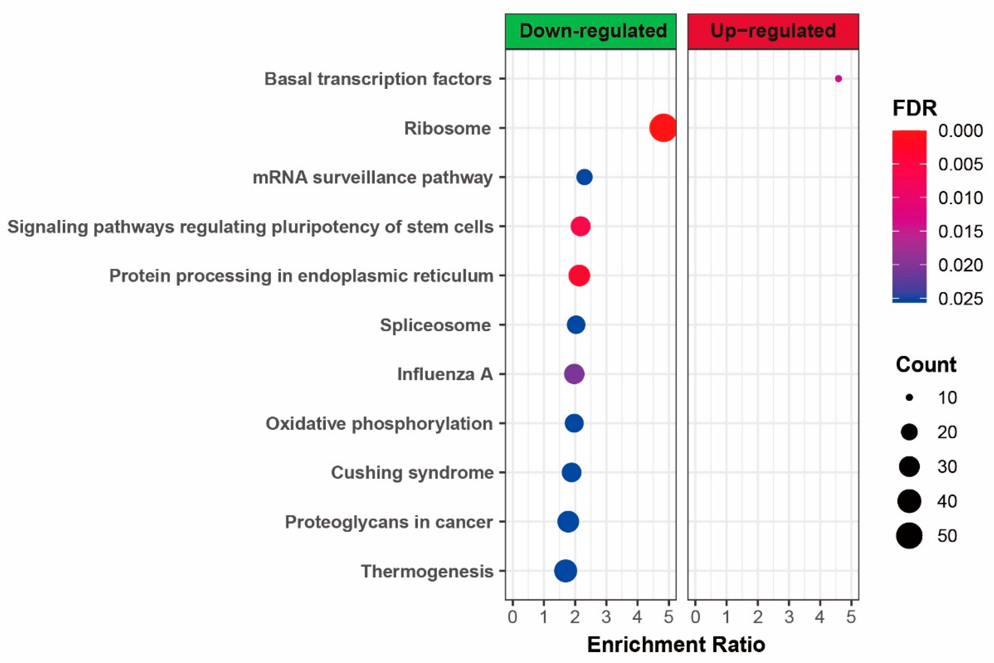 Genes 11 01499 g003 Genes 11 01499 g003