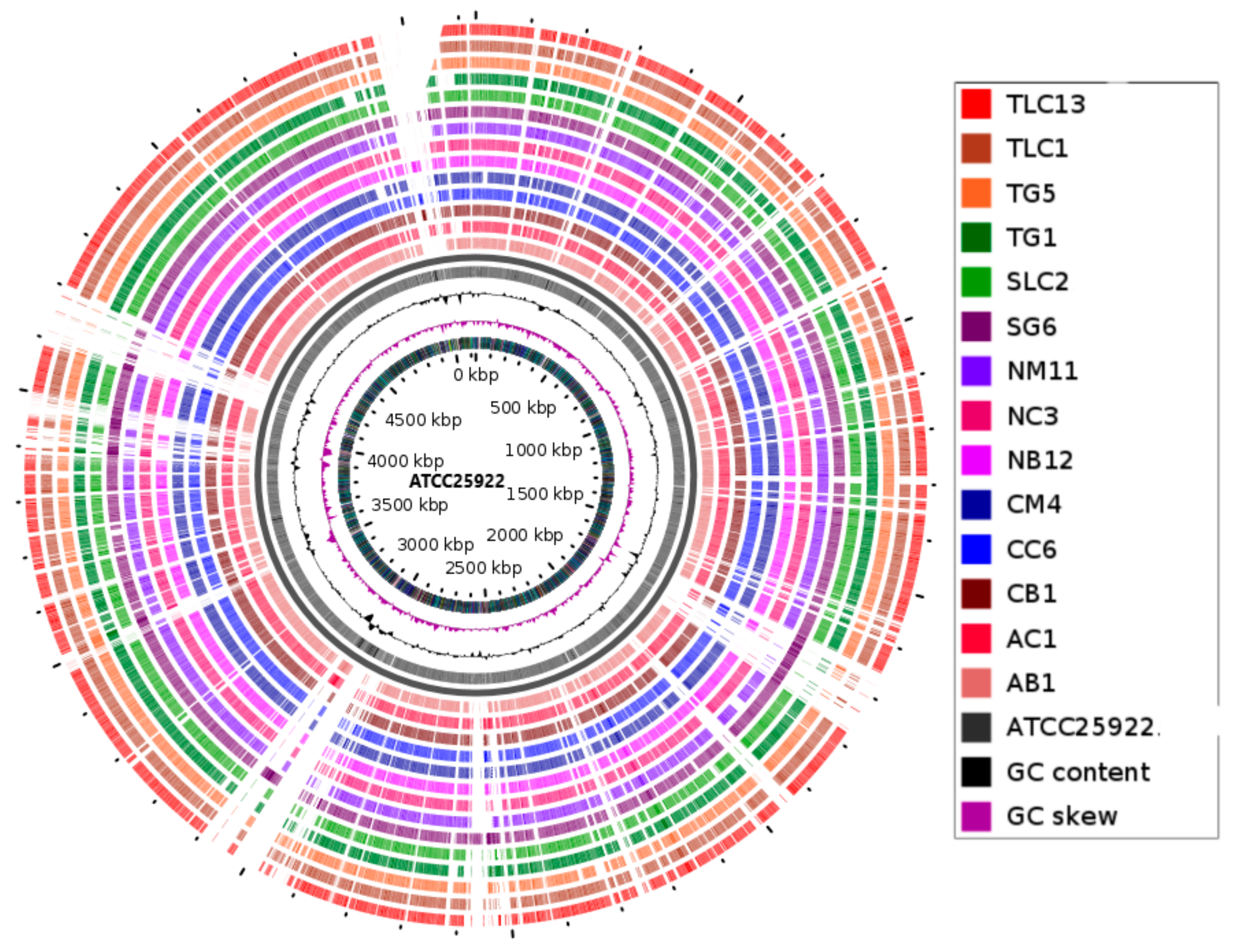 Genes 11 01504 g001 Genes 11 01504 g001