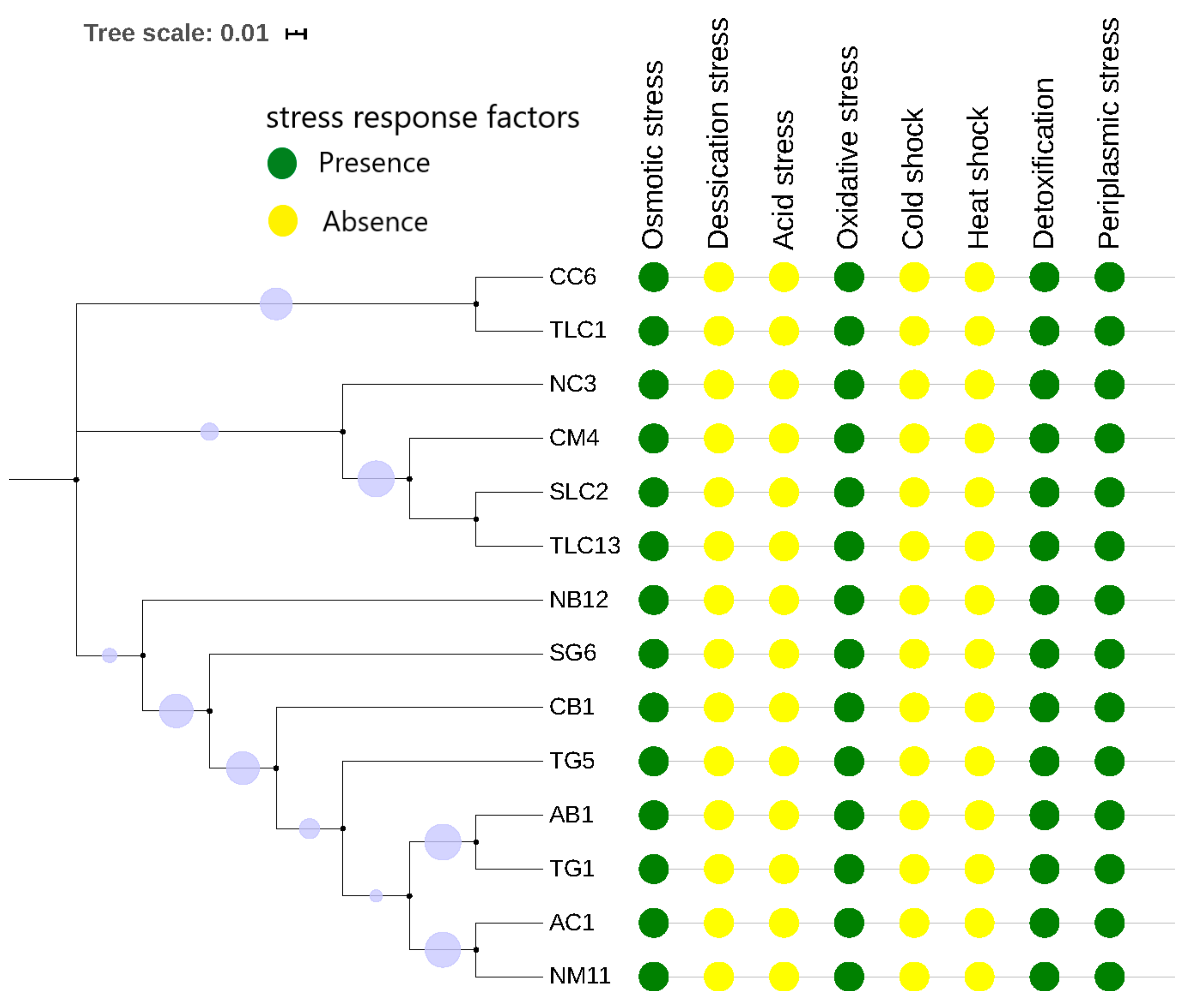 Genes 11 01504 g003 Genes 11 01504 g003