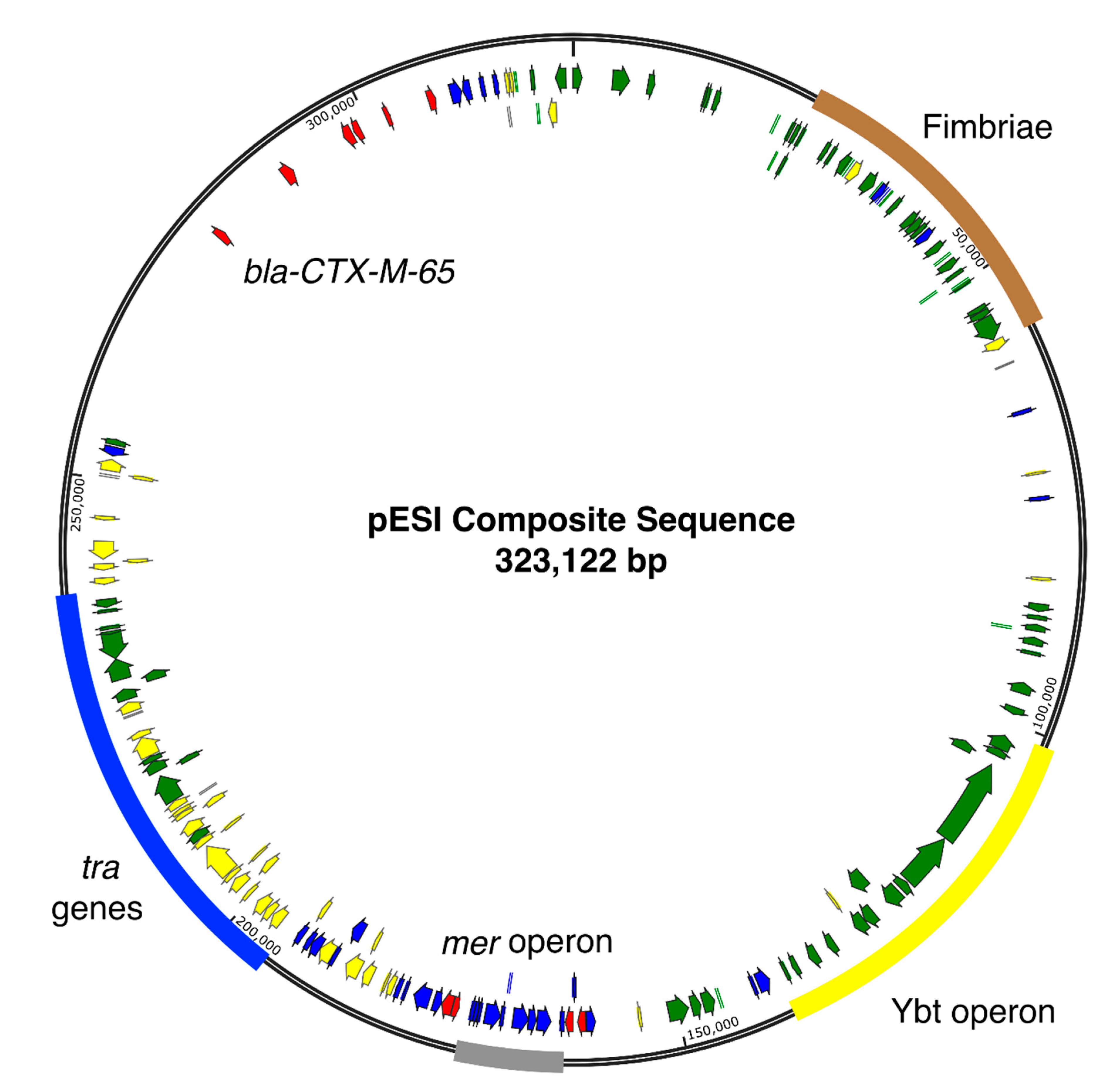 Genes 11 01516 g002