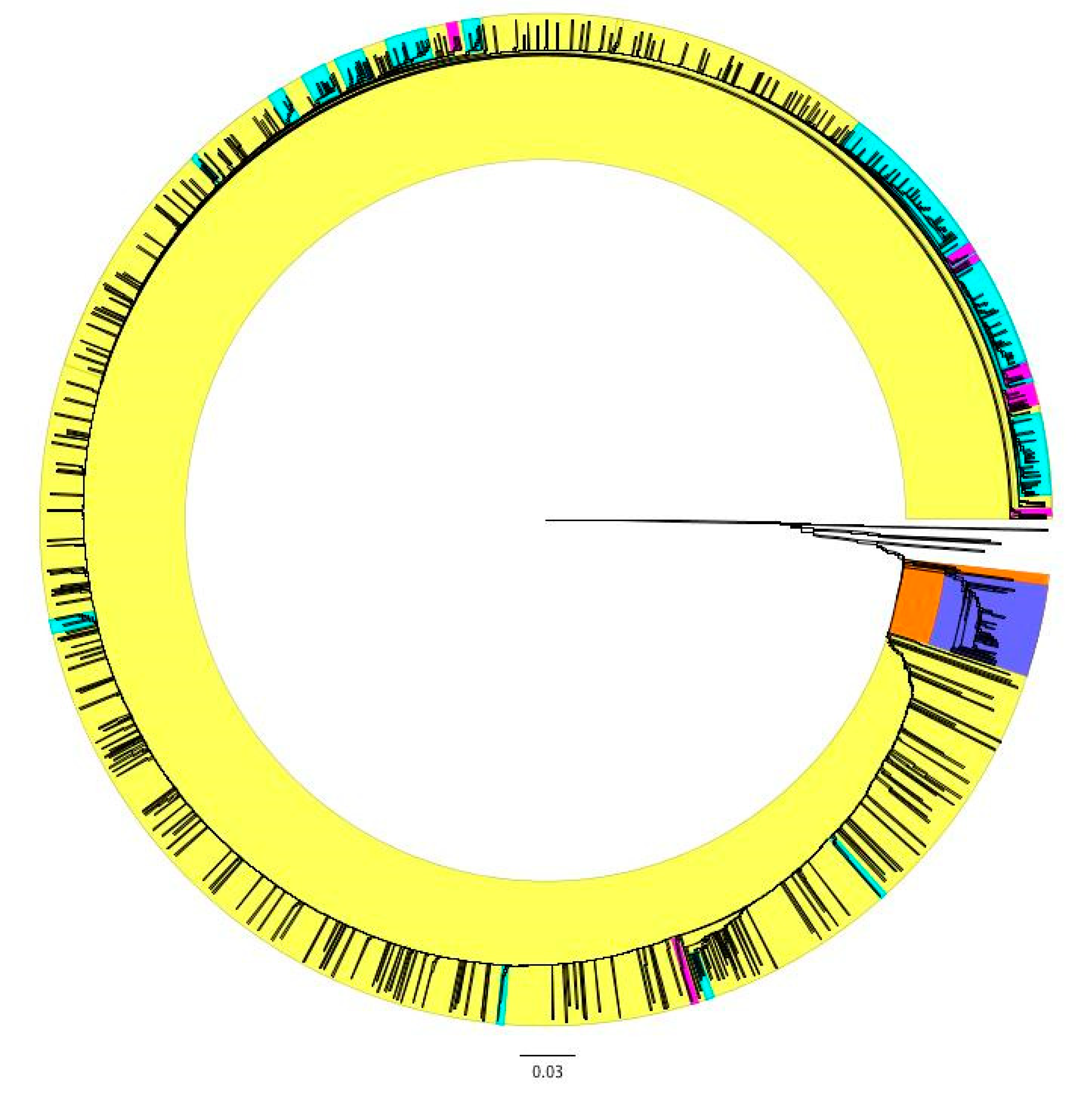 Genes 11 01516 g003