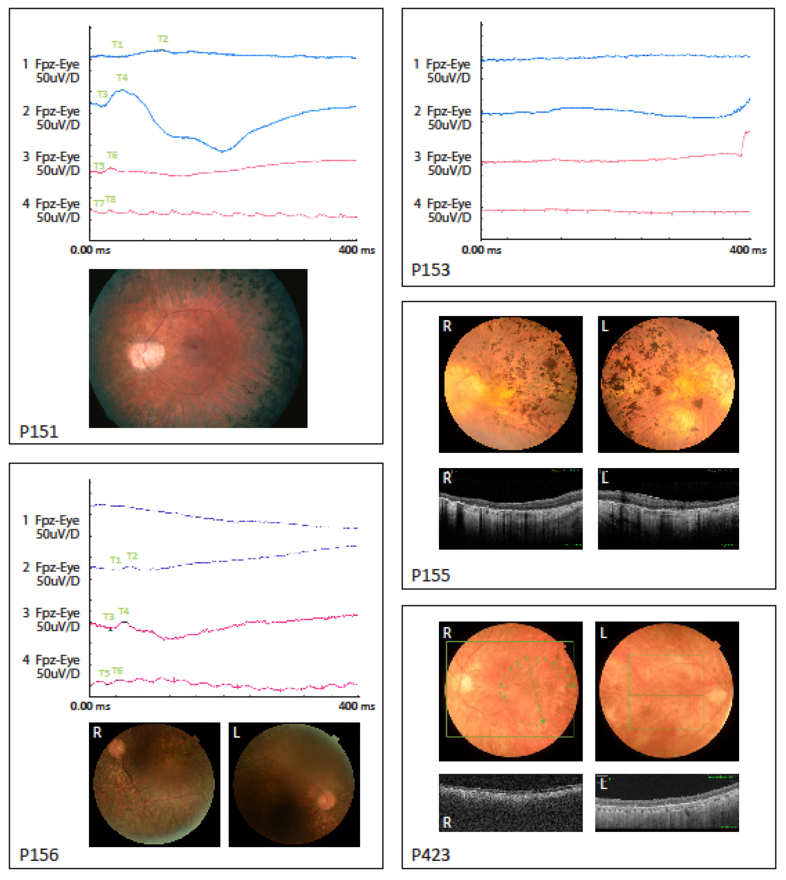 Genes 11 01517 g001 Genes 11 01517 g001