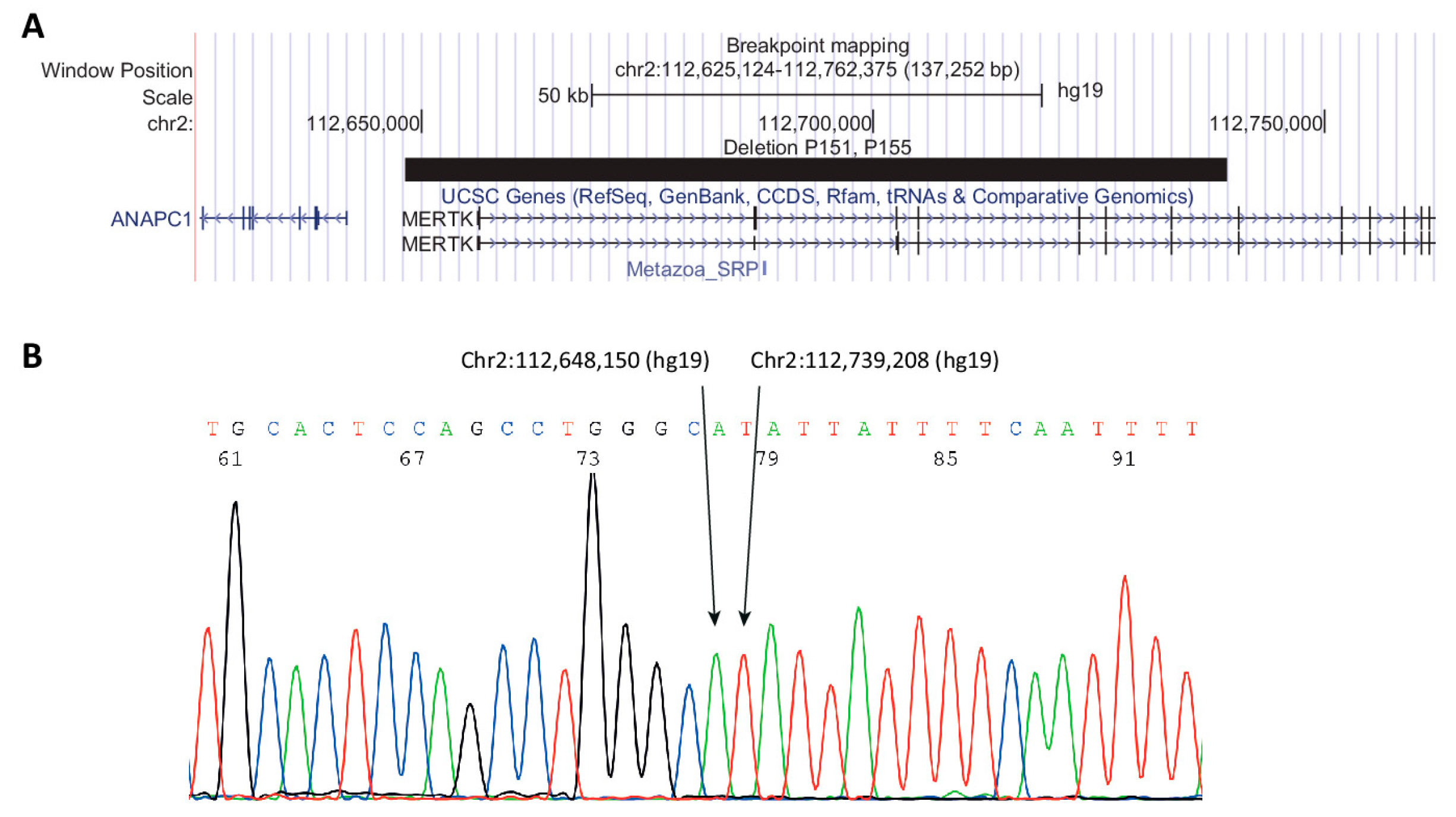 Genes 11 01517 g003 Genes 11 01517 g003