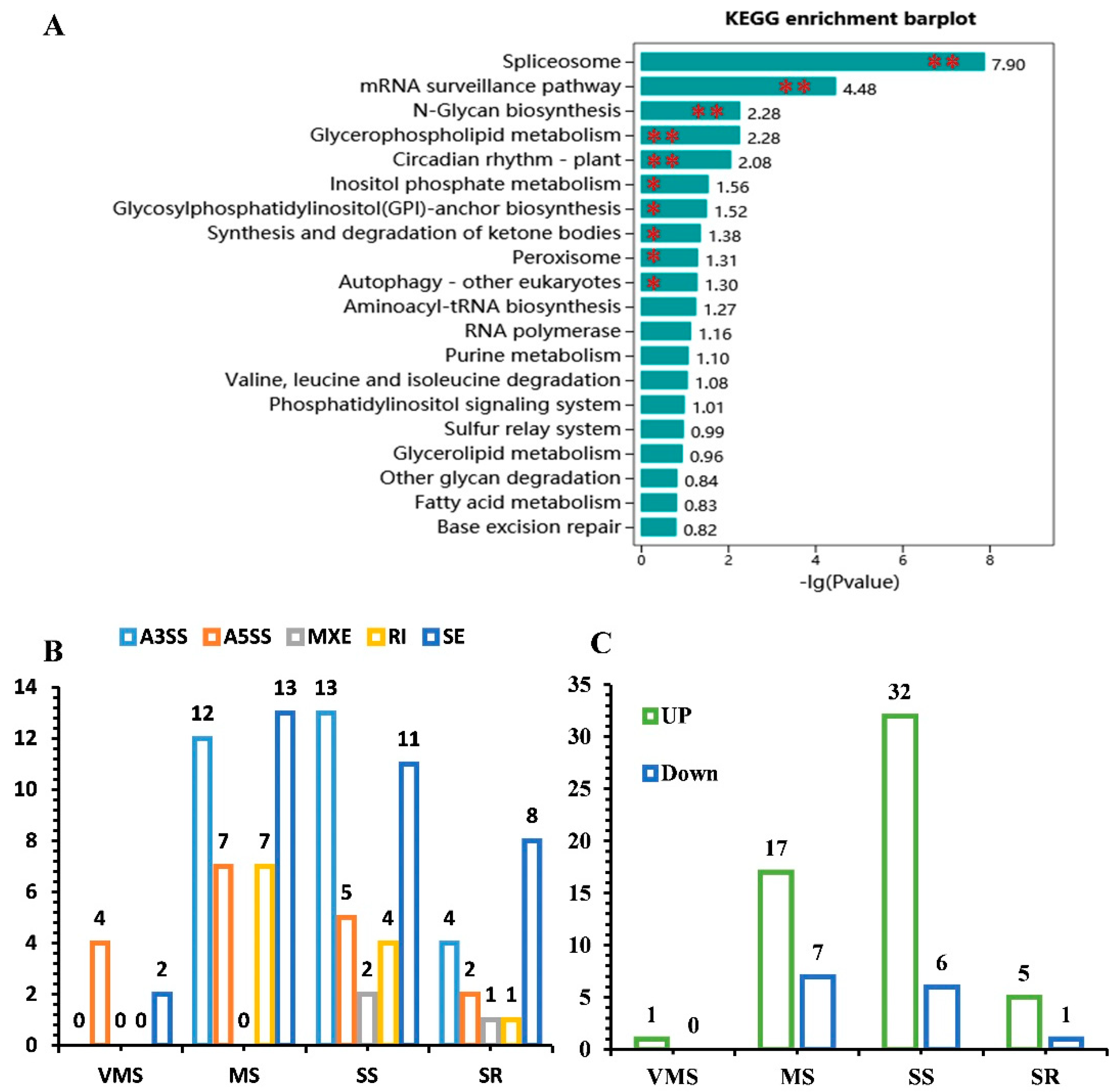 Genes 11 01520 g006 Genes 11 01520 g006