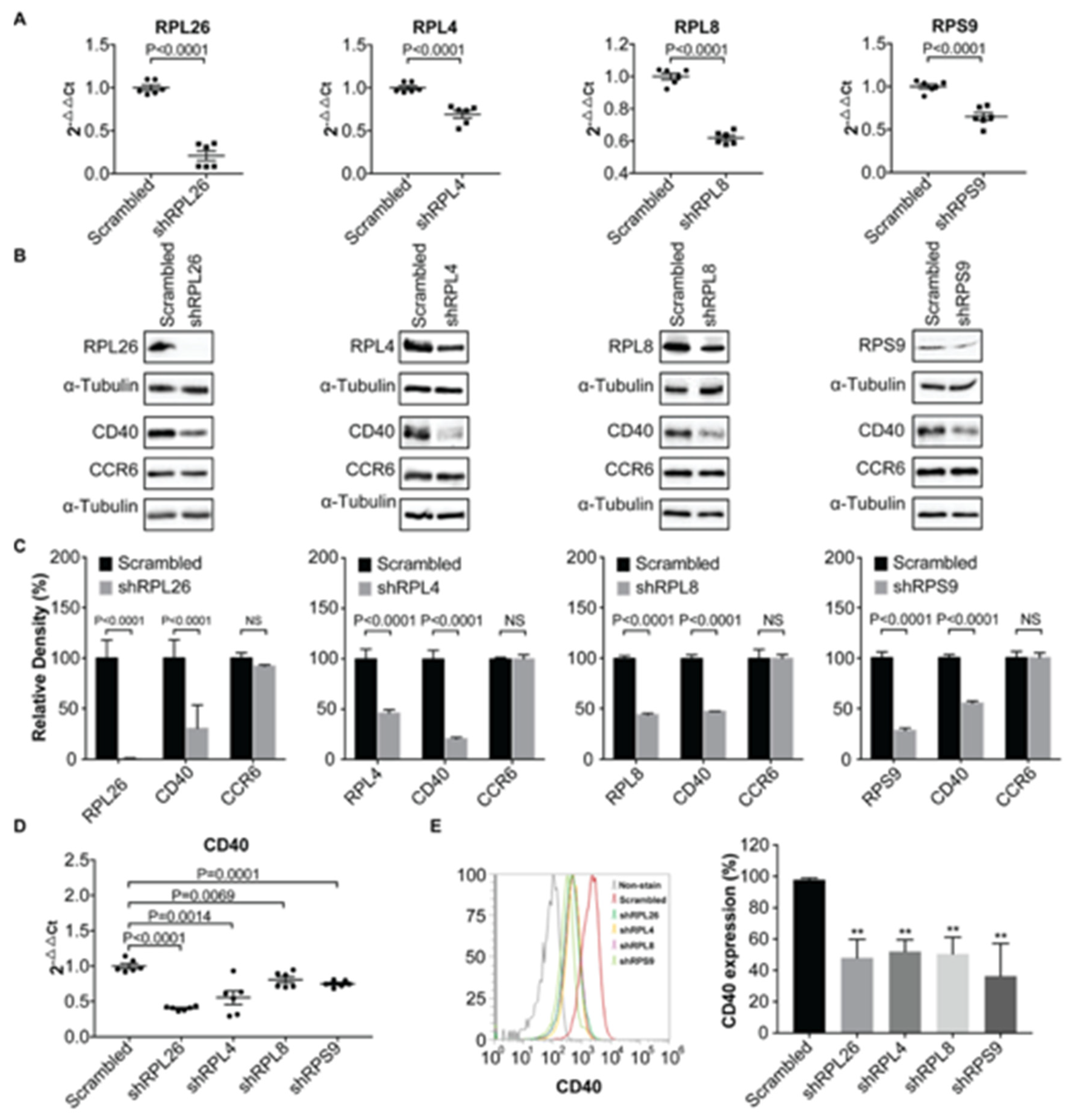 Genes 11 01526 g001 Genes 11 01526 g001