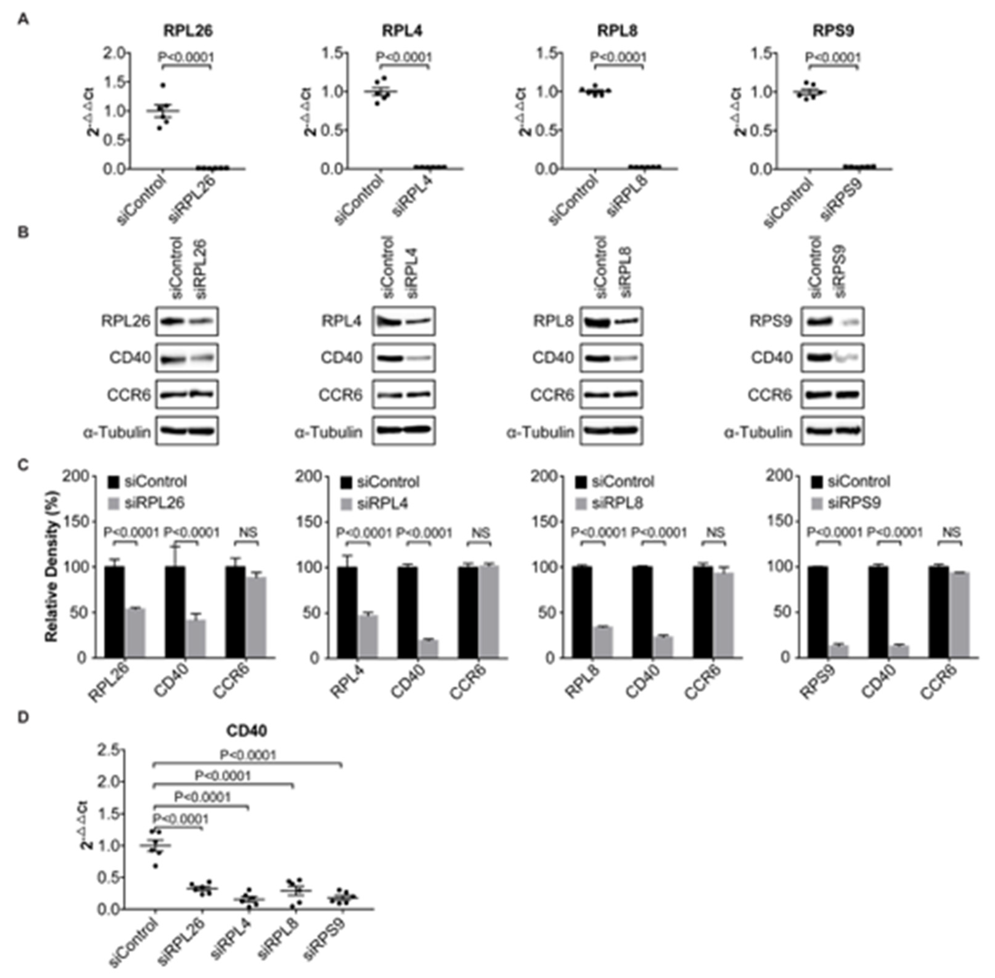 Genes 11 01526 g002 Genes 11 01526 g002