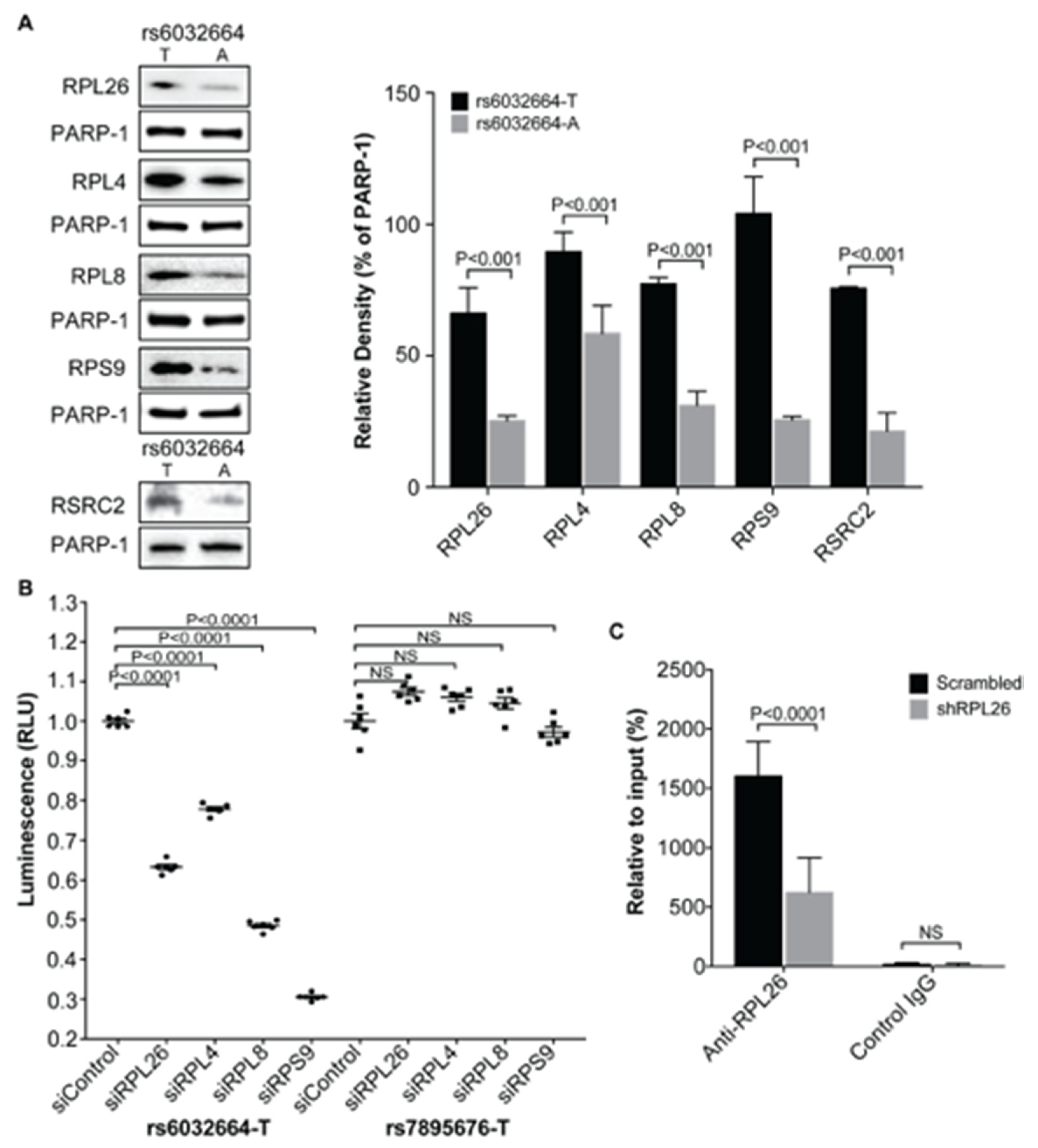 Genes 11 01526 g003 Genes 11 01526 g003
