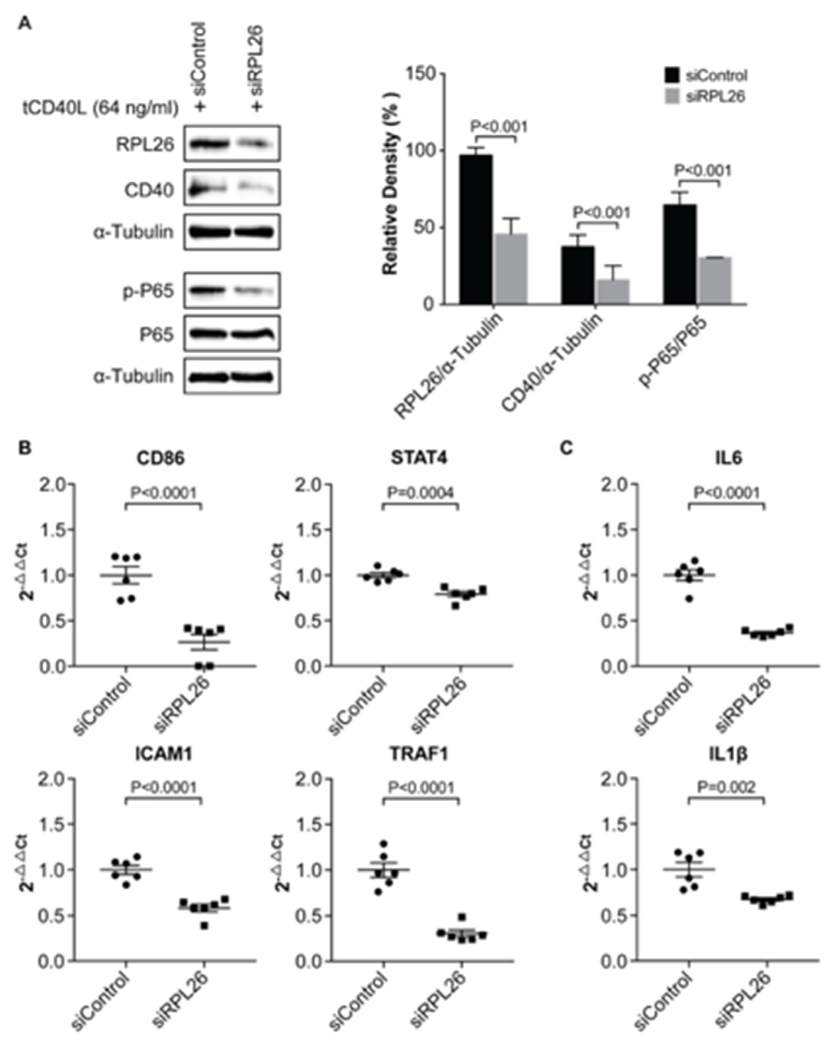 Genes 11 01526 g004 Genes 11 01526 g004