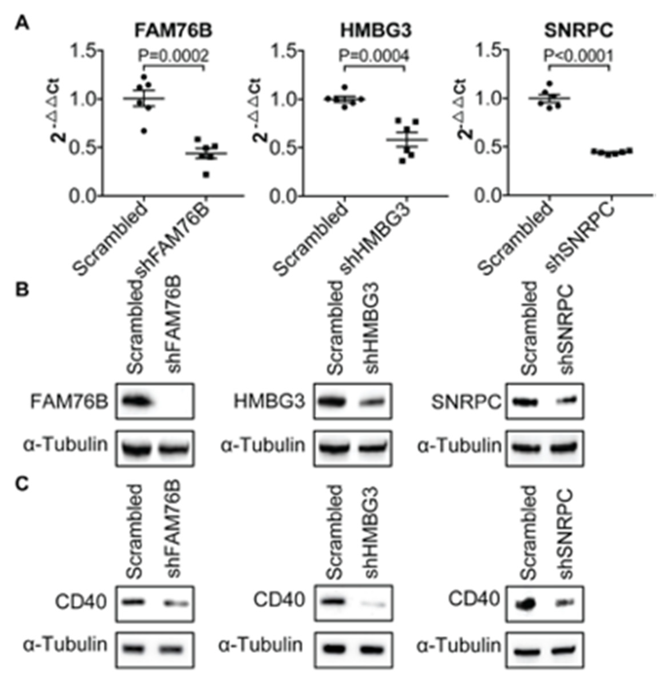 Genes 11 01526 g0a1 Genes 11 01526 g0a1