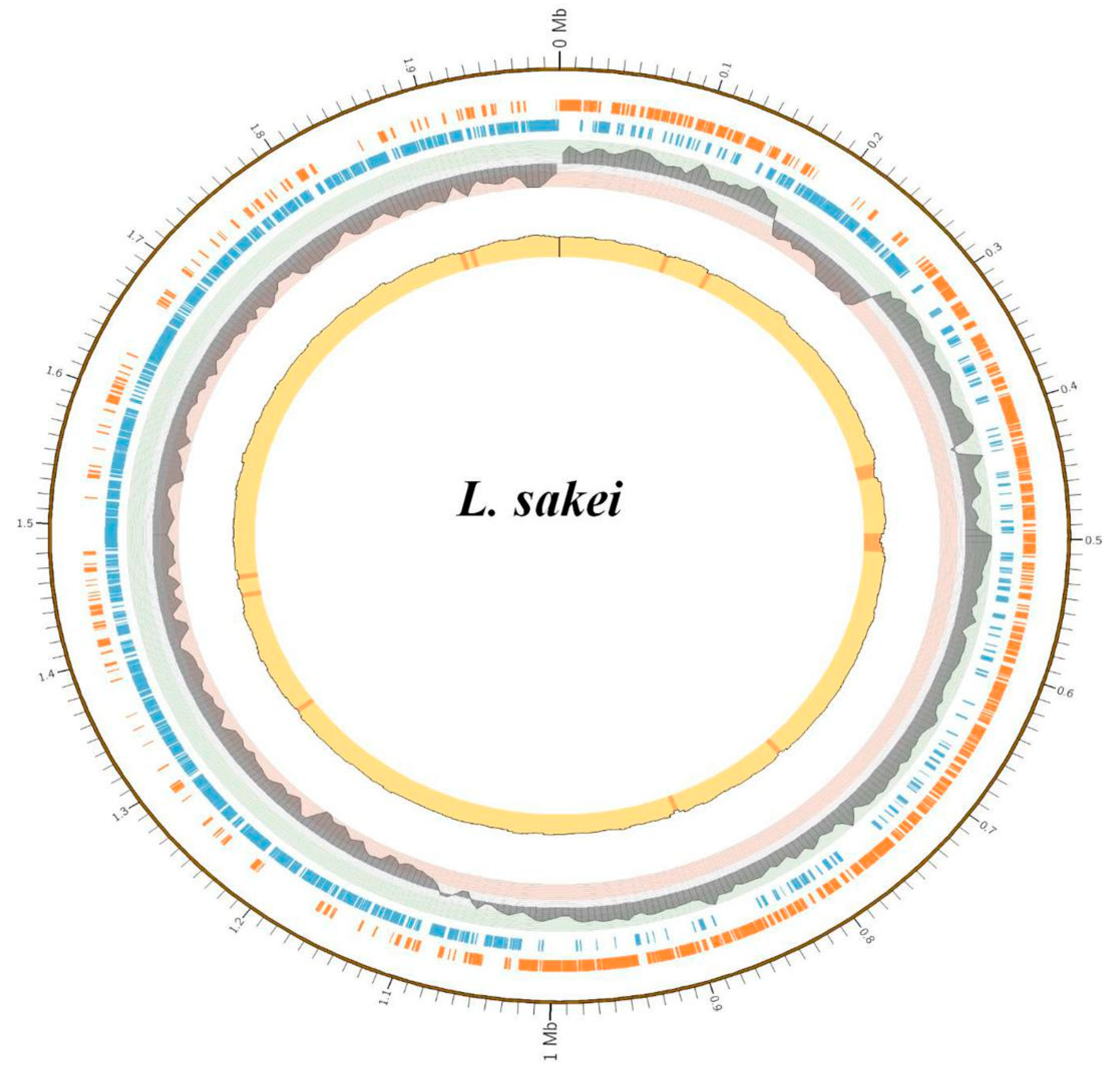Genes 11 01527 g002 Genes 11 01527 g002