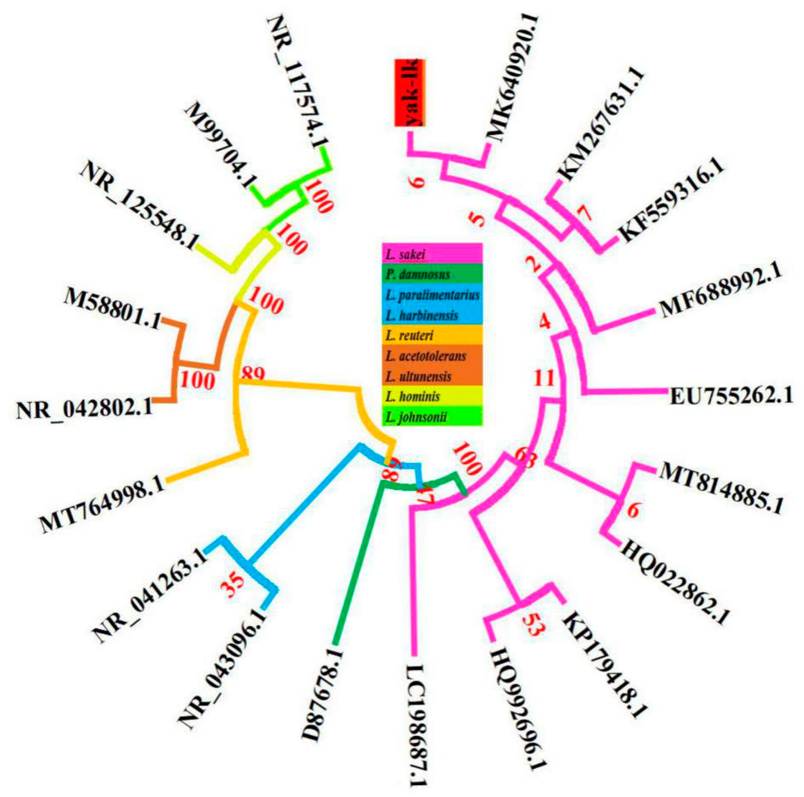 Genes 11 01527 g003 Genes 11 01527 g003