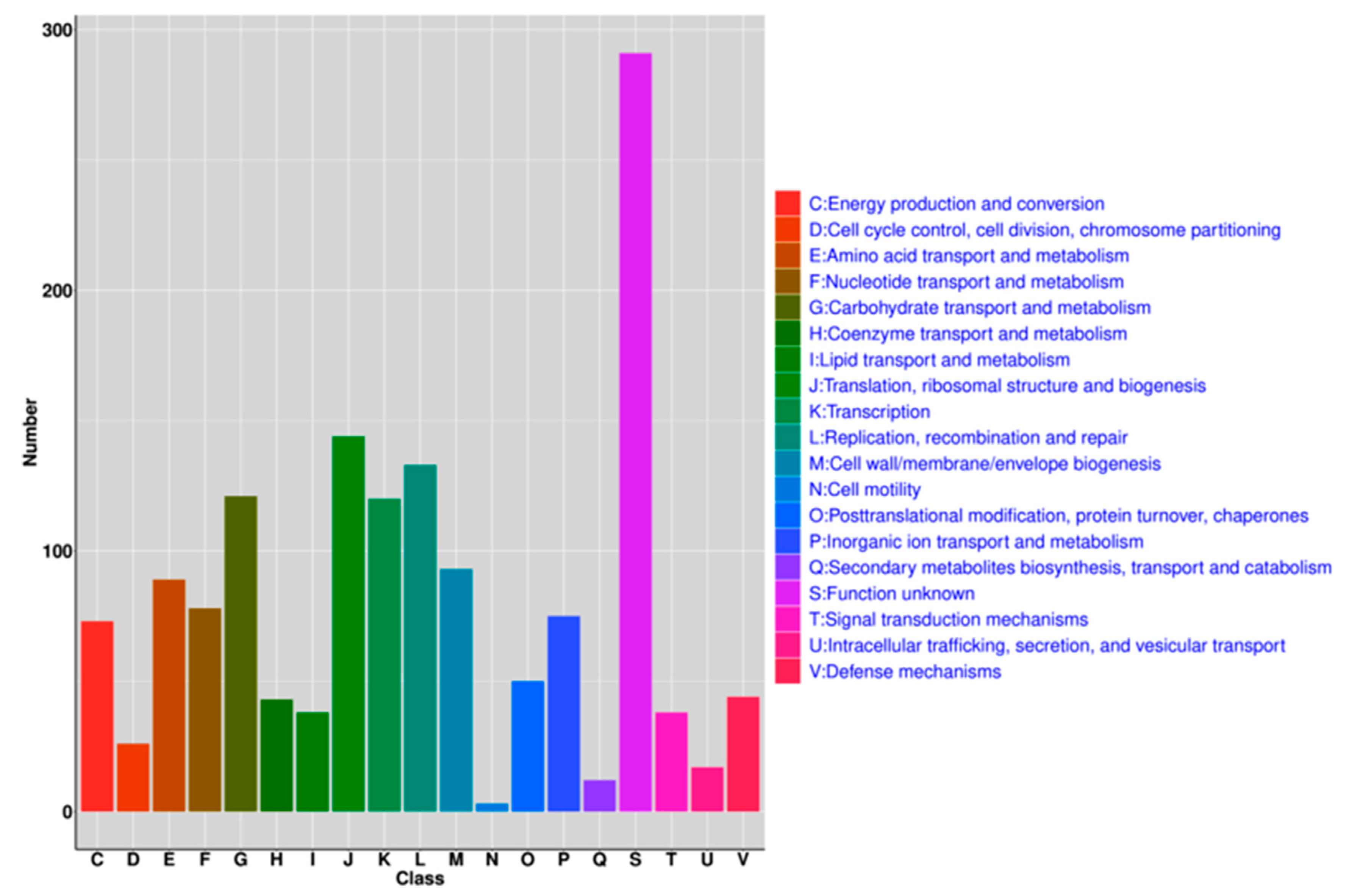 Genes 11 01527 g004 Genes 11 01527 g004