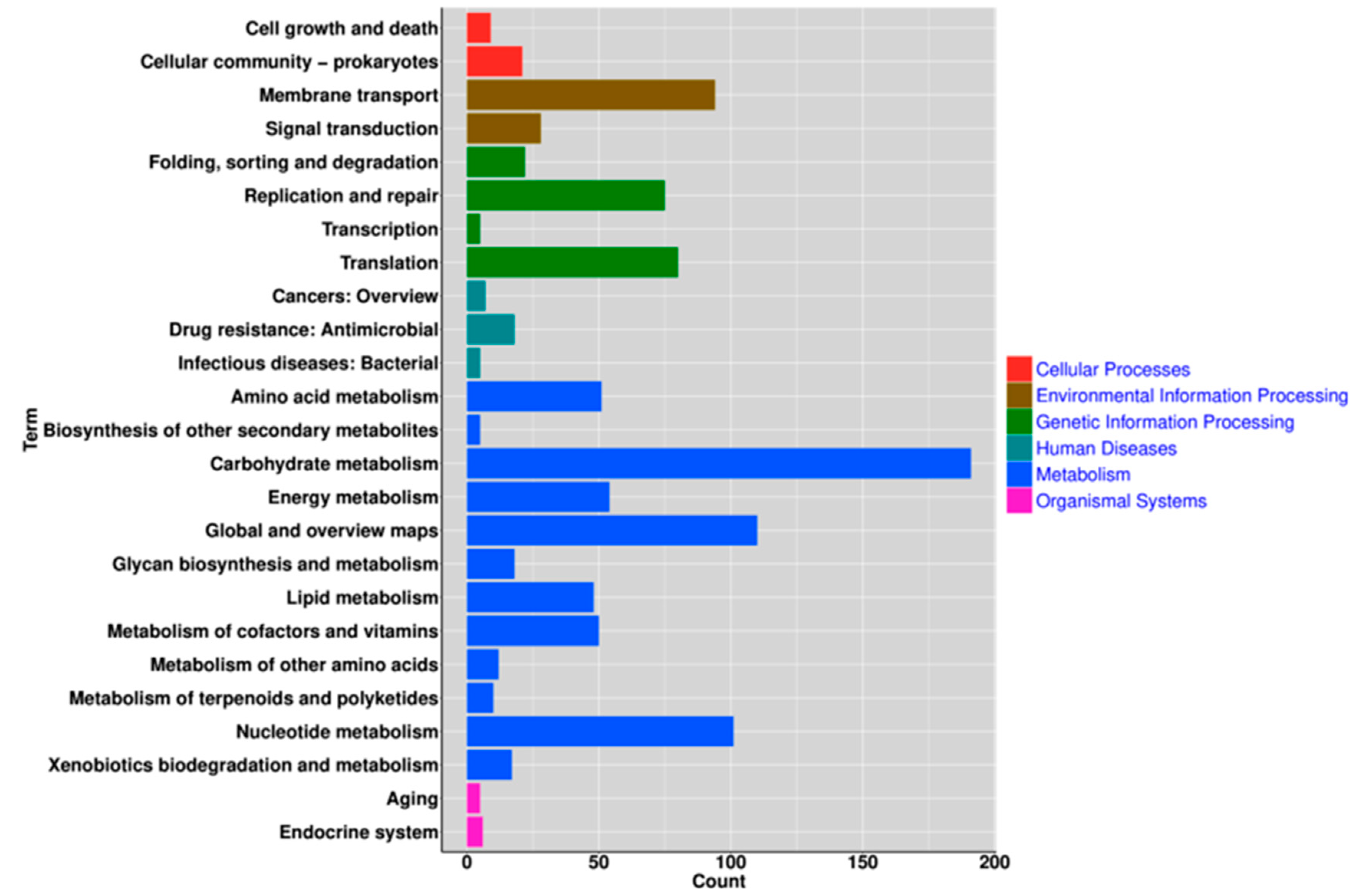 Genes 11 01527 g007 Genes 11 01527 g007