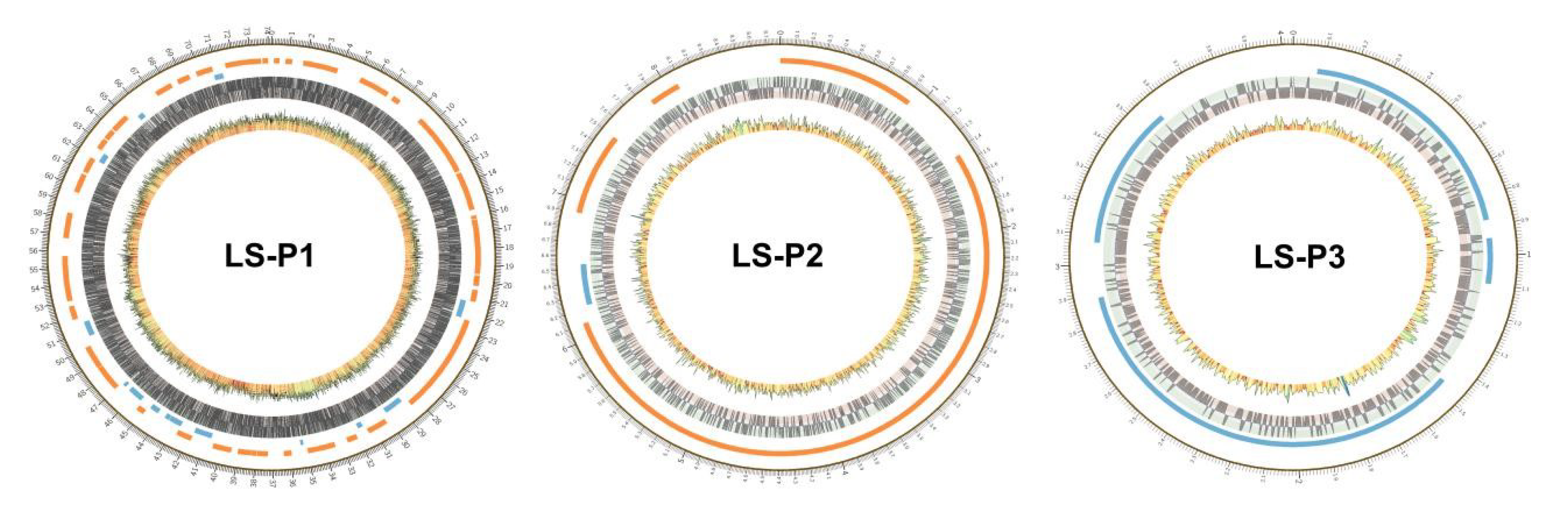 Genes 11 01527 g008 Genes 11 01527 g008