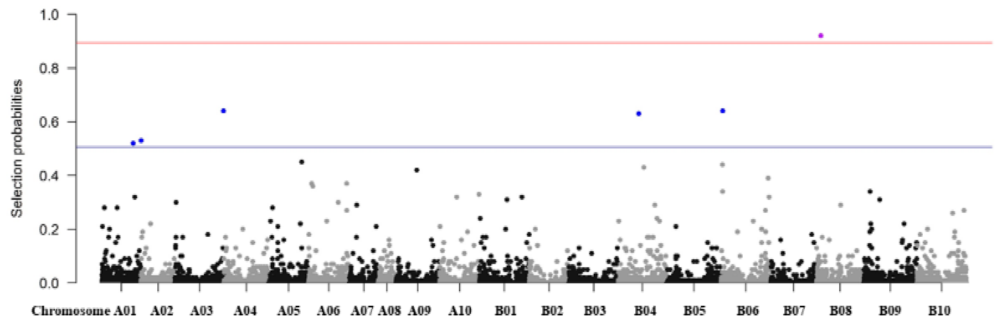 Genes 12 00002 g006 Genes 12 00002 g006