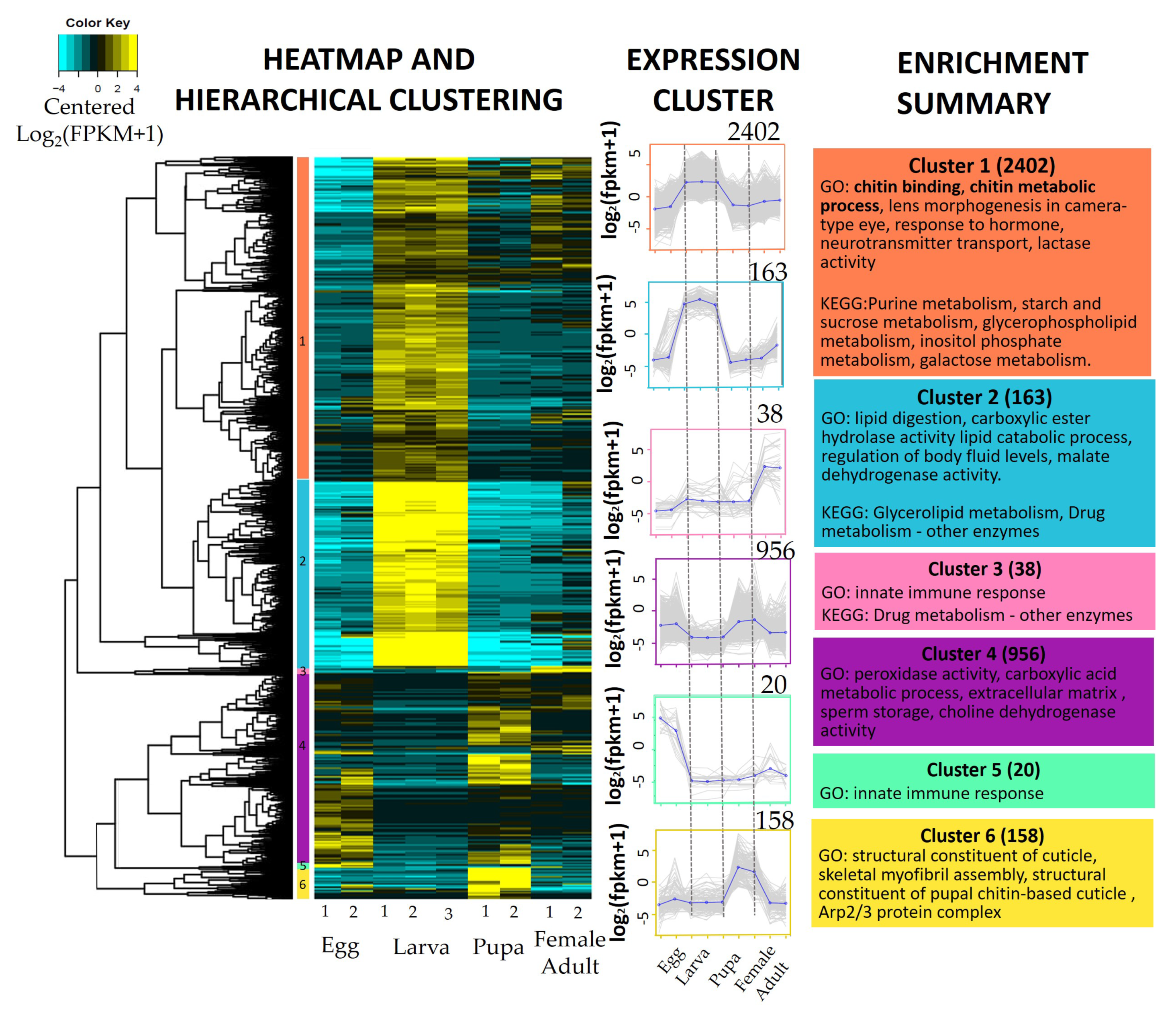 Genes 12 00007 g008 Genes 12 00007 g008