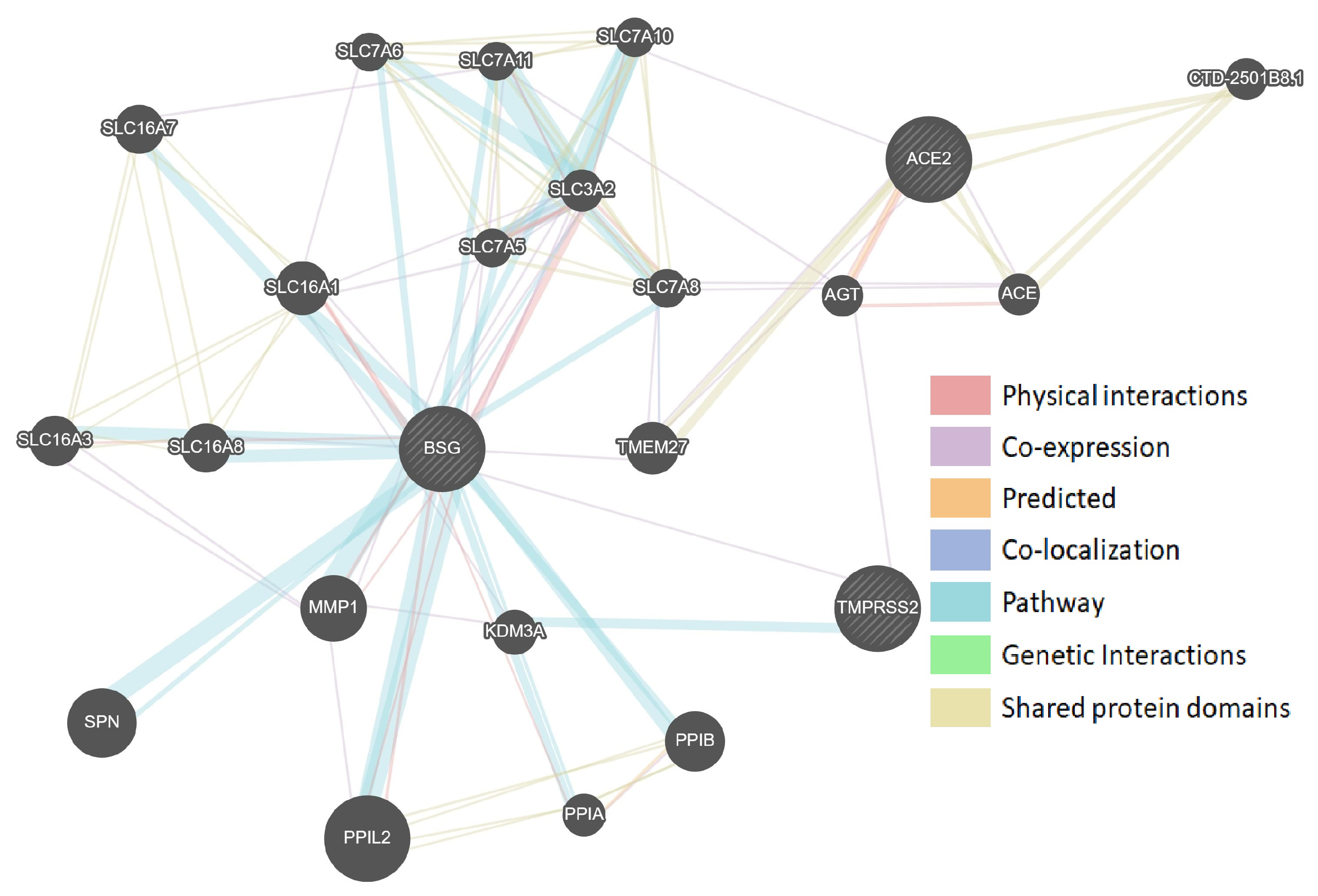 Genes 12 00019 g001 Genes 12 00019 g001