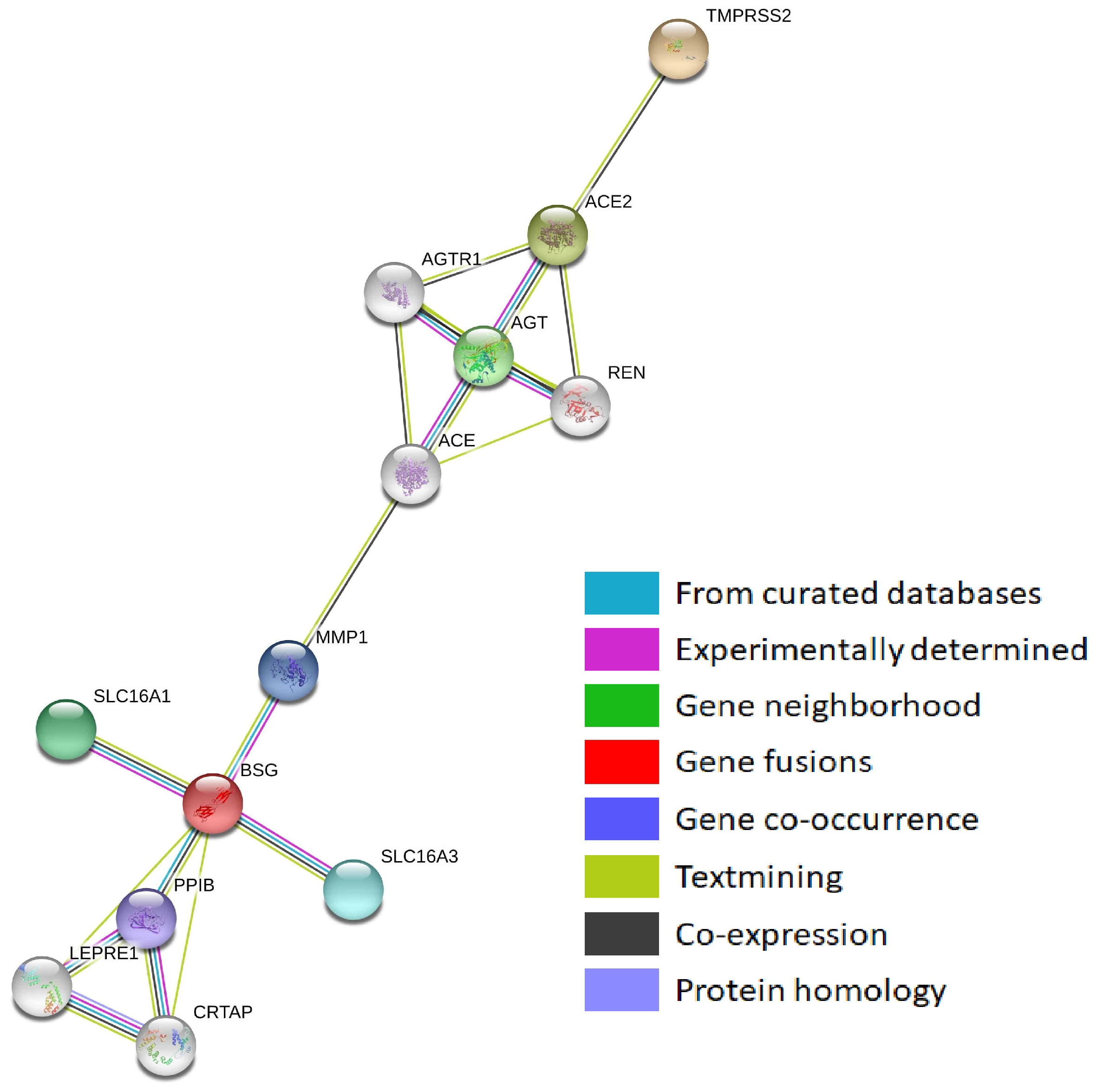 Genes 12 00019 g002 Genes 12 00019 g002