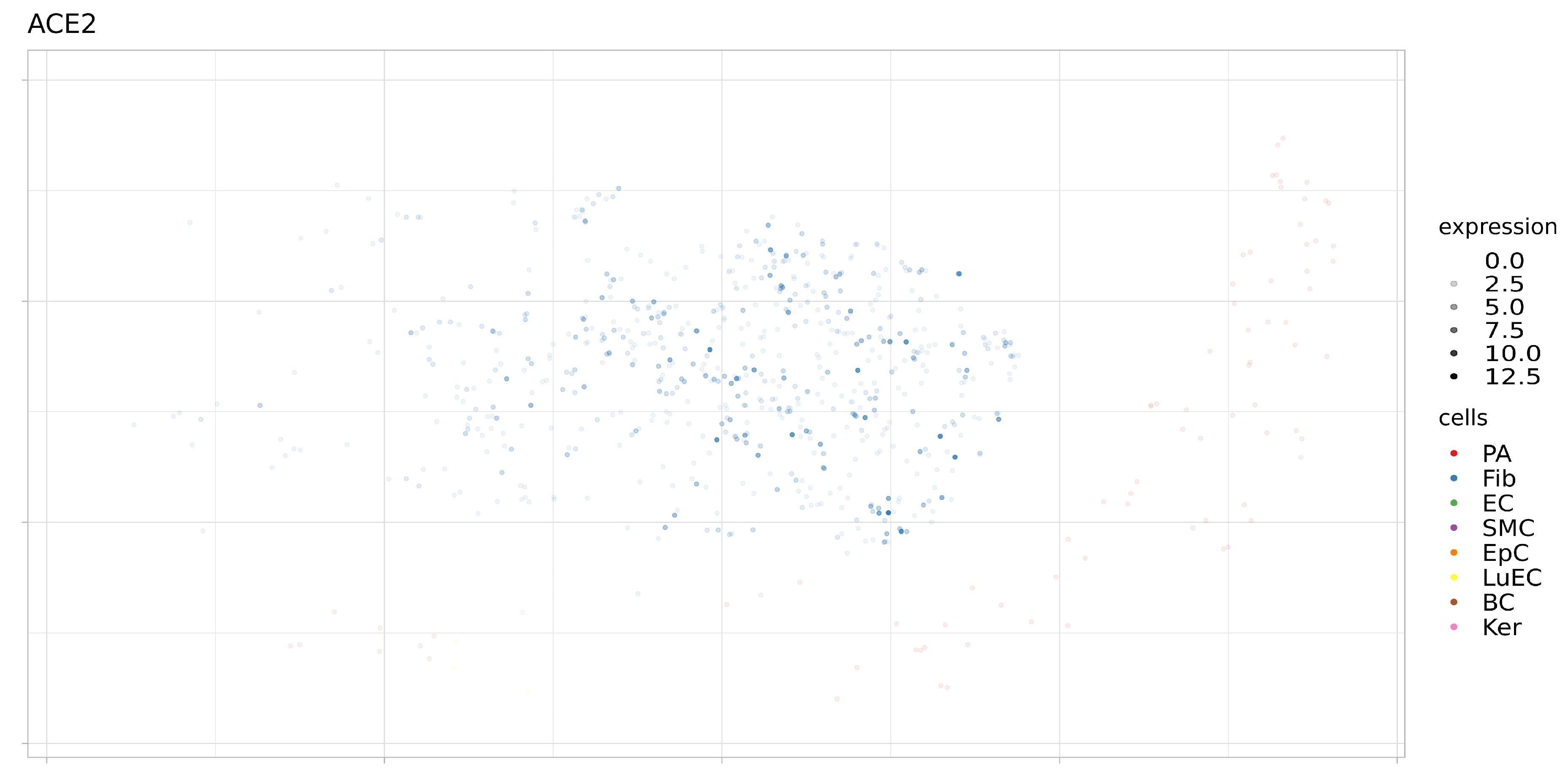 Genes 12 00019 g007 Genes 12 00019 g007