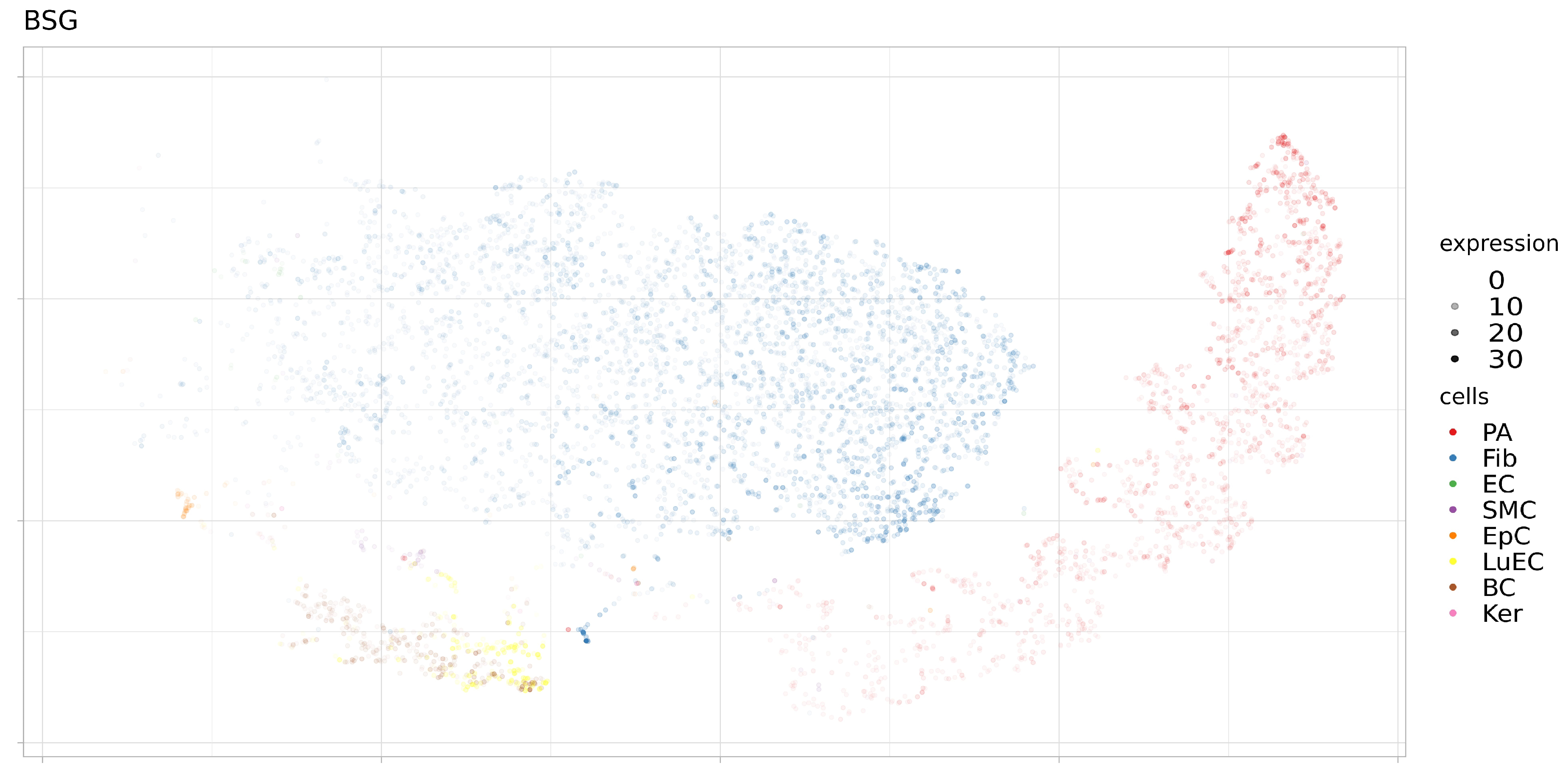 Genes 12 00019 g008 Genes 12 00019 g008