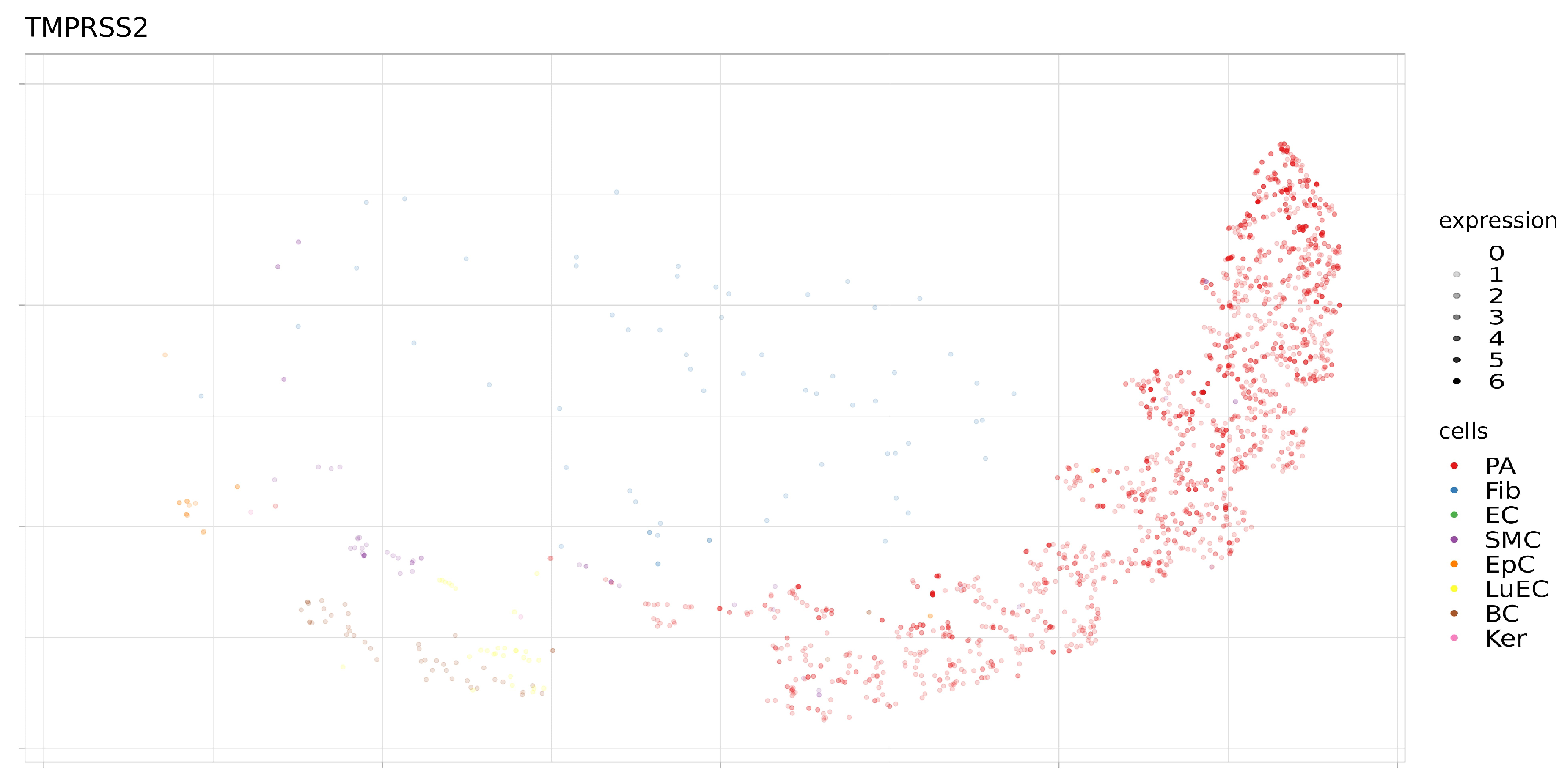 Genes 12 00019 g009 Genes 12 00019 g009