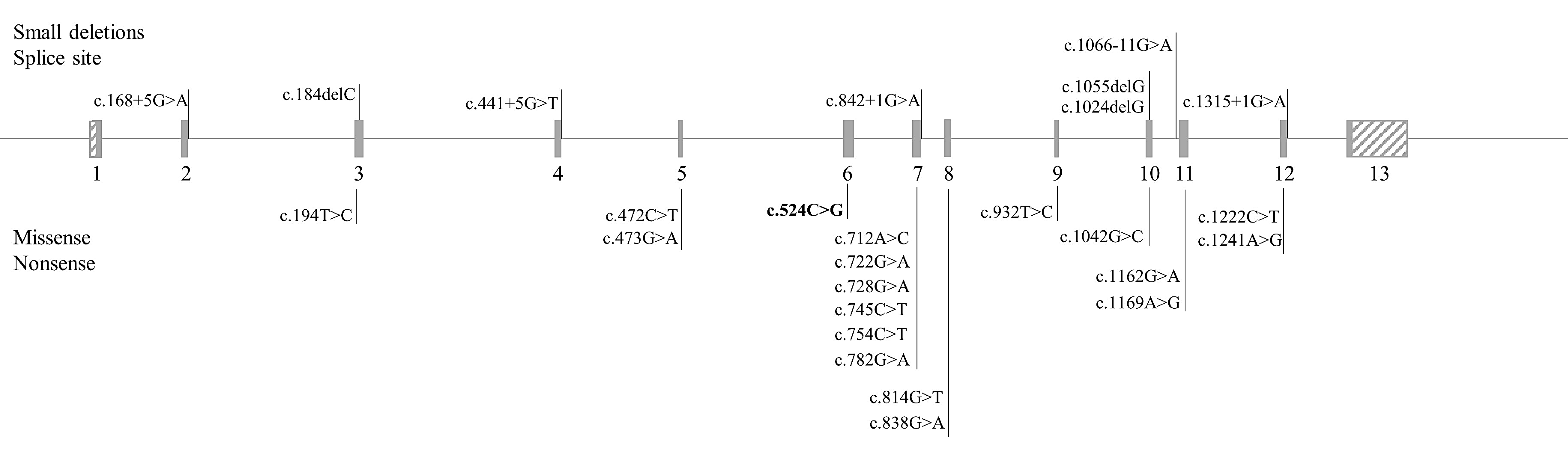 Genes Free Full Text Phenylketonuria Diagnosis By Massive Parallel Sequencing And Genotype Phenotype Association In Brazilian Patients Html