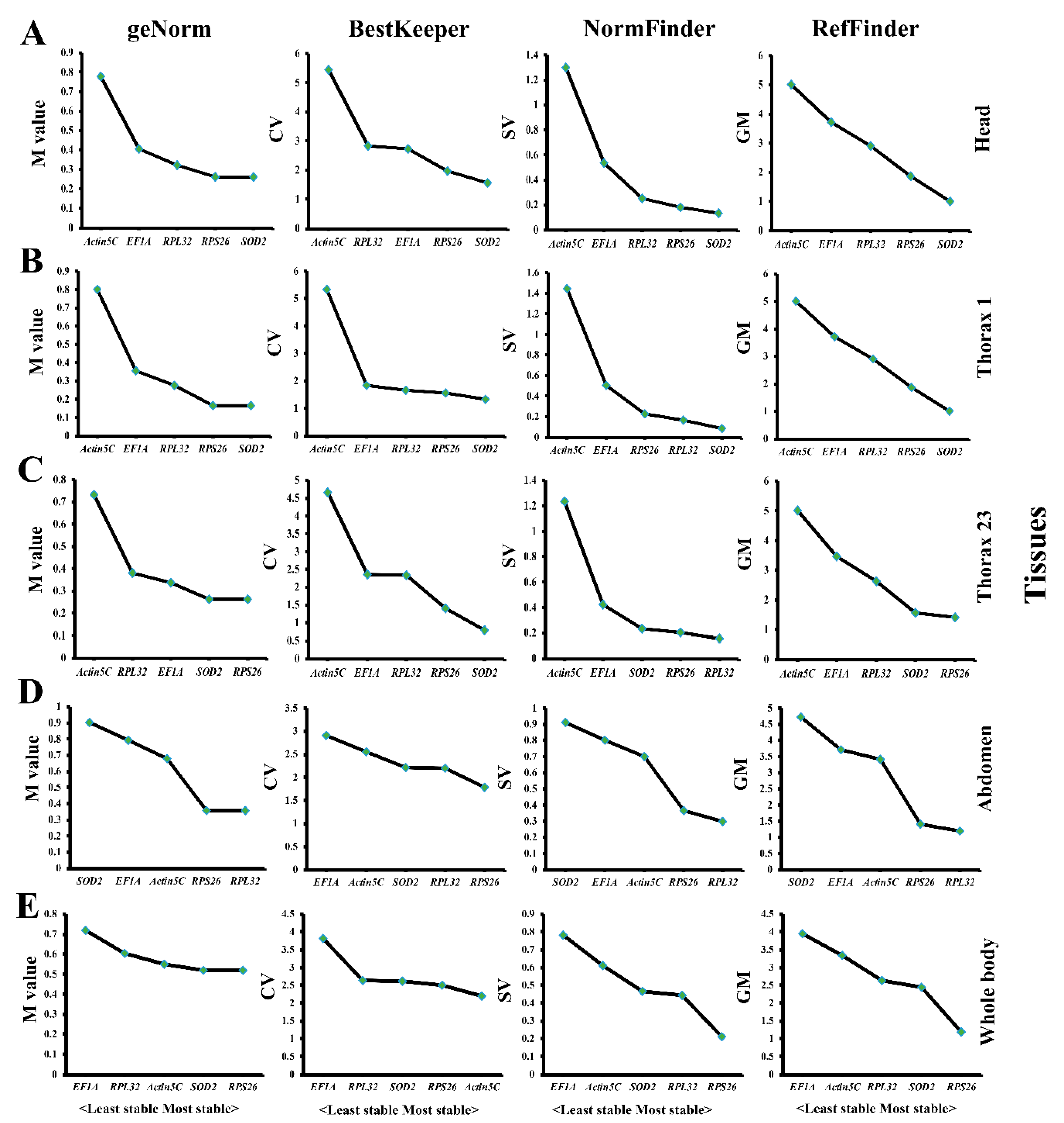 Genes 12 00021 g003 Genes 12 00021 g003