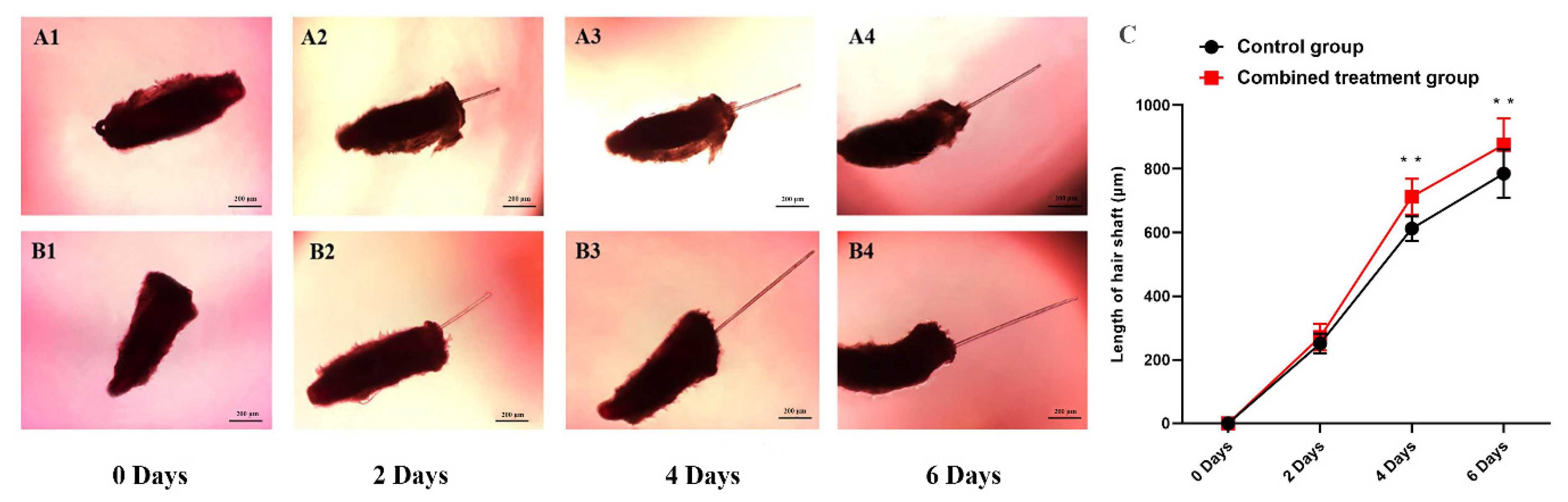 Genes 12 00024 g001 Genes 12 00024 g001