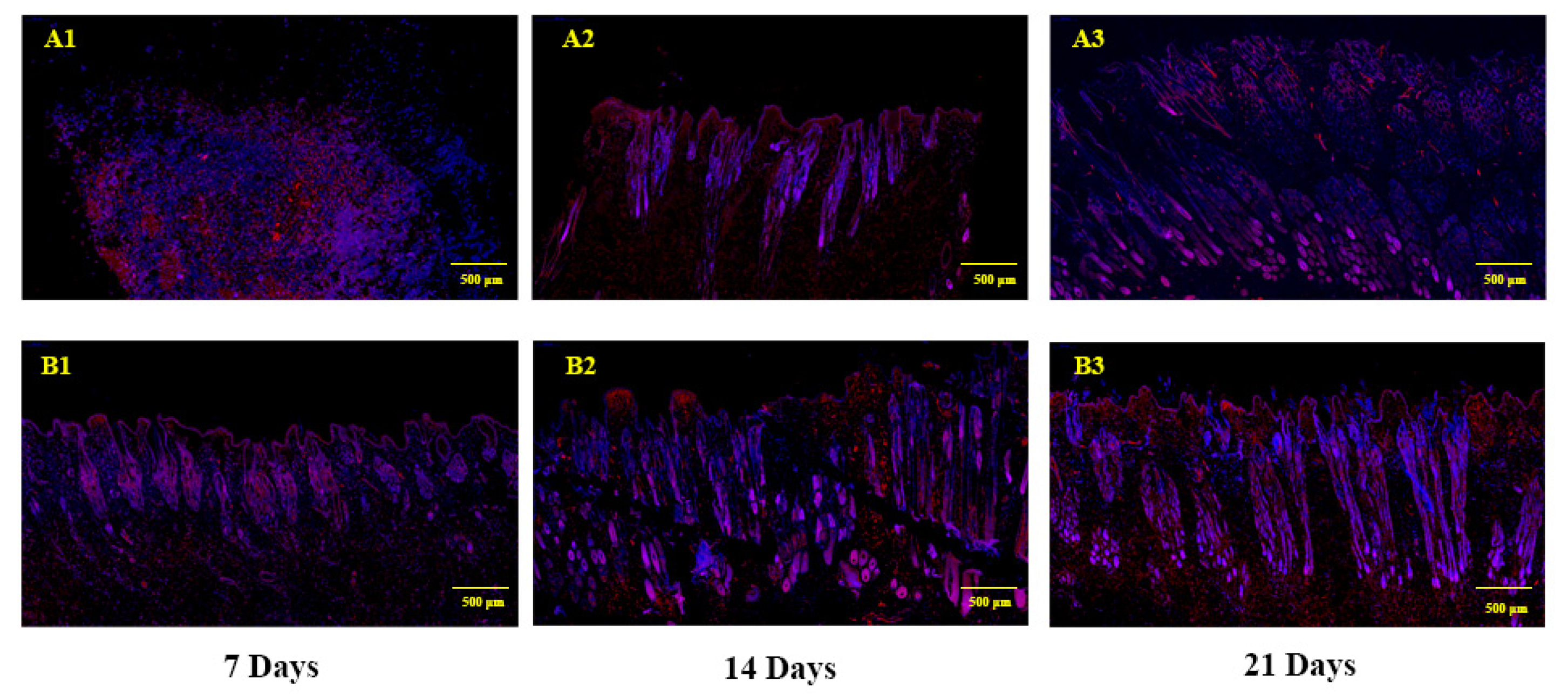 Genes 12 00024 g006 Genes 12 00024 g006