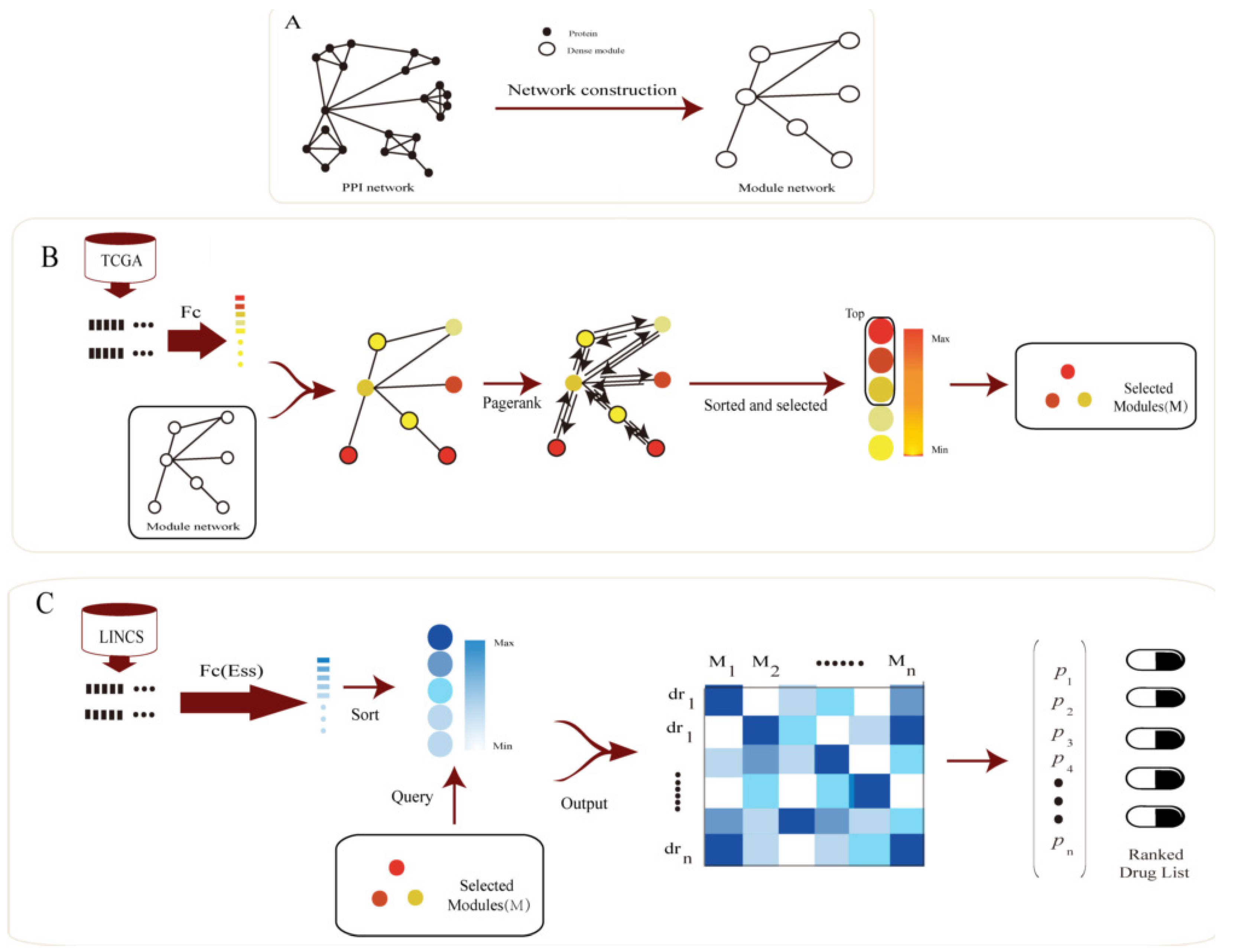 Genes 12 00025 g001 Genes 12 00025 g001