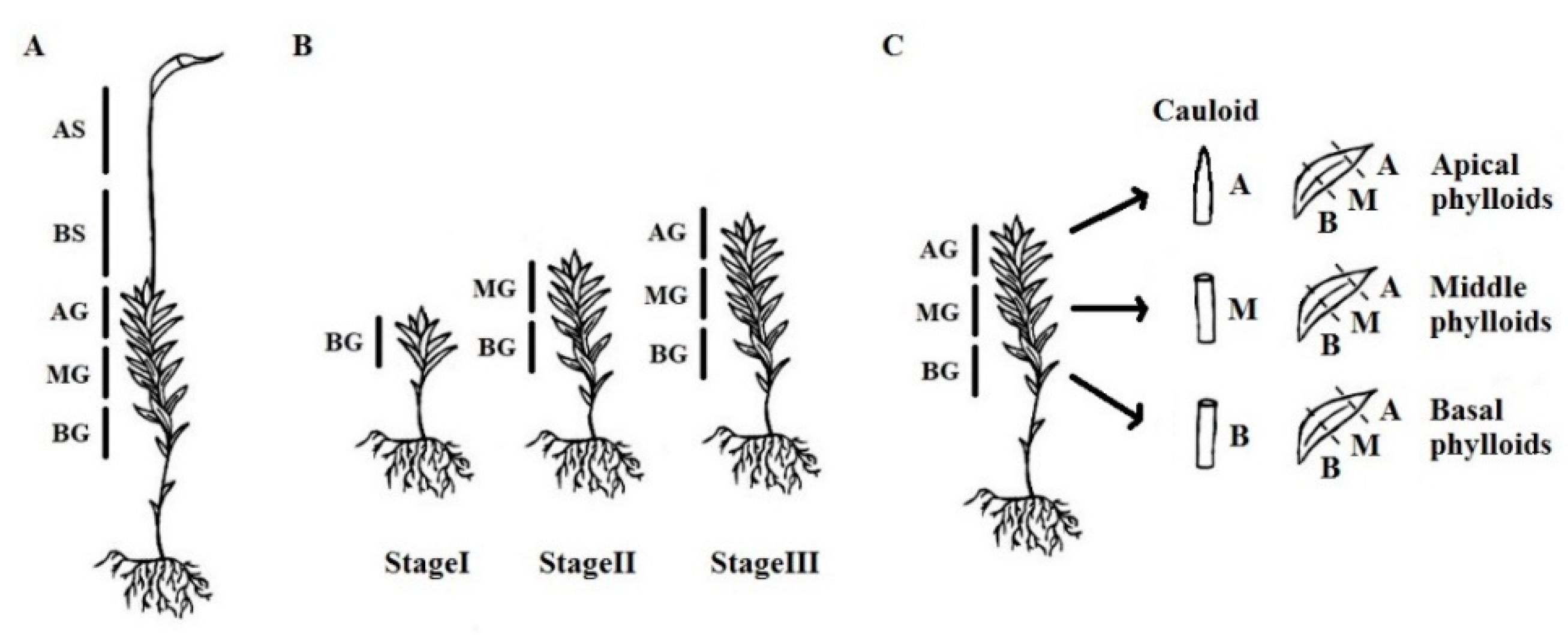 Genes 12 00027 g001 Genes 12 00027 g001