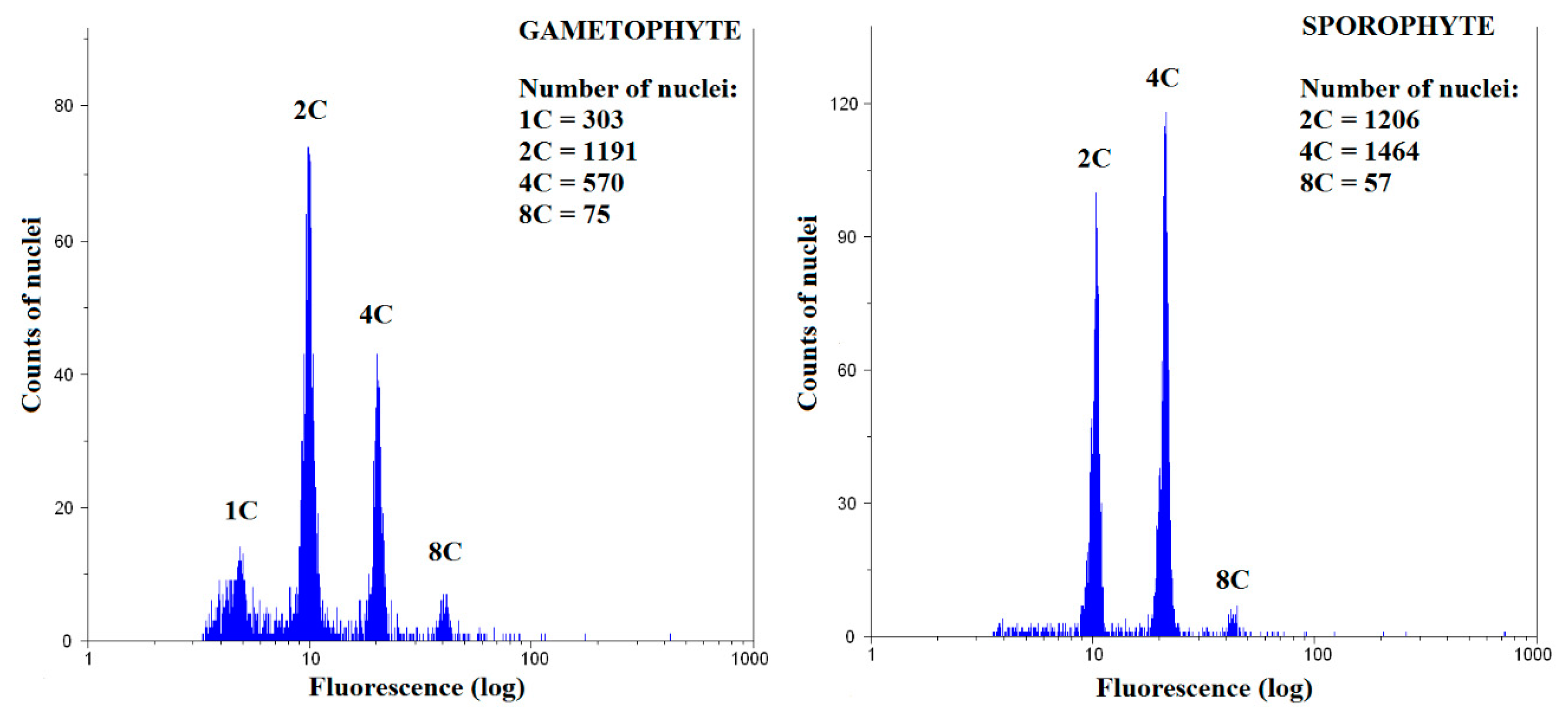 Genes 12 00027 g003 Genes 12 00027 g003