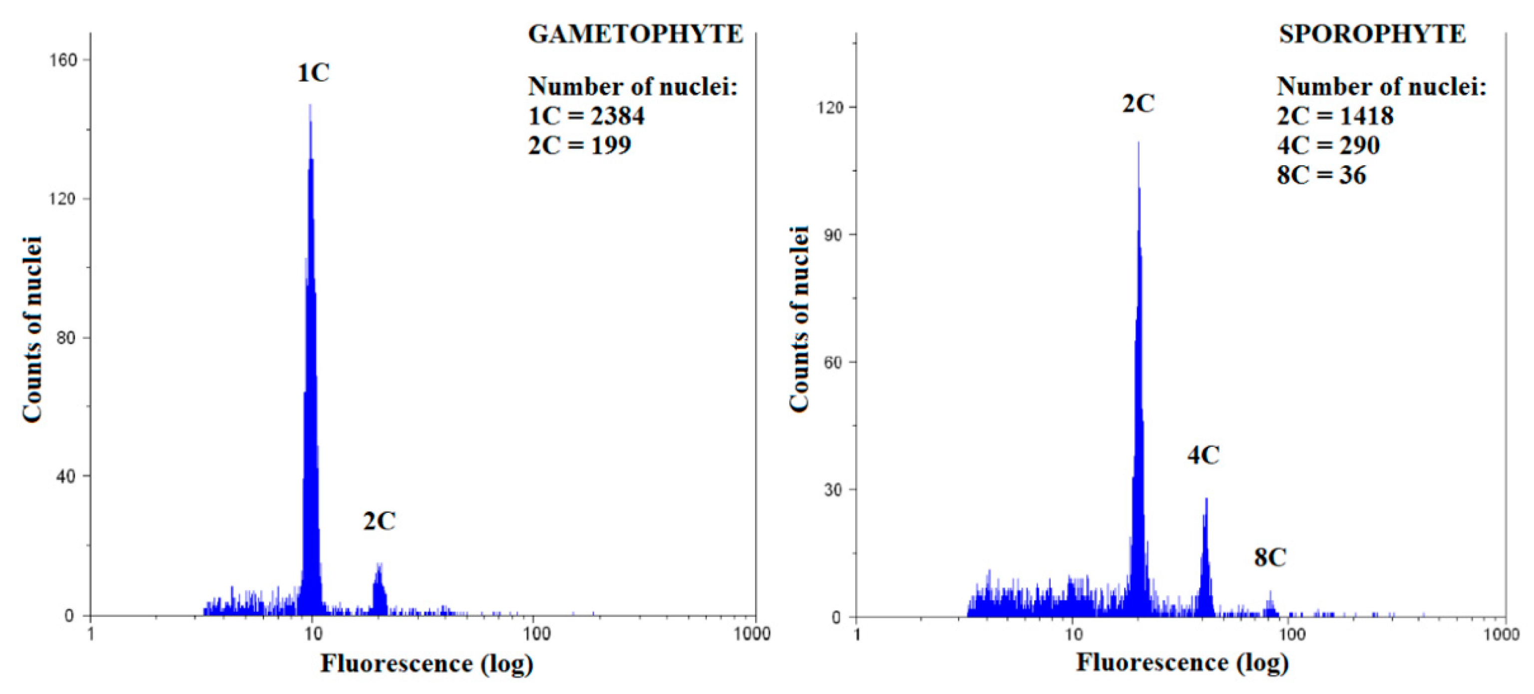 Genes 12 00027 g004 Genes 12 00027 g004