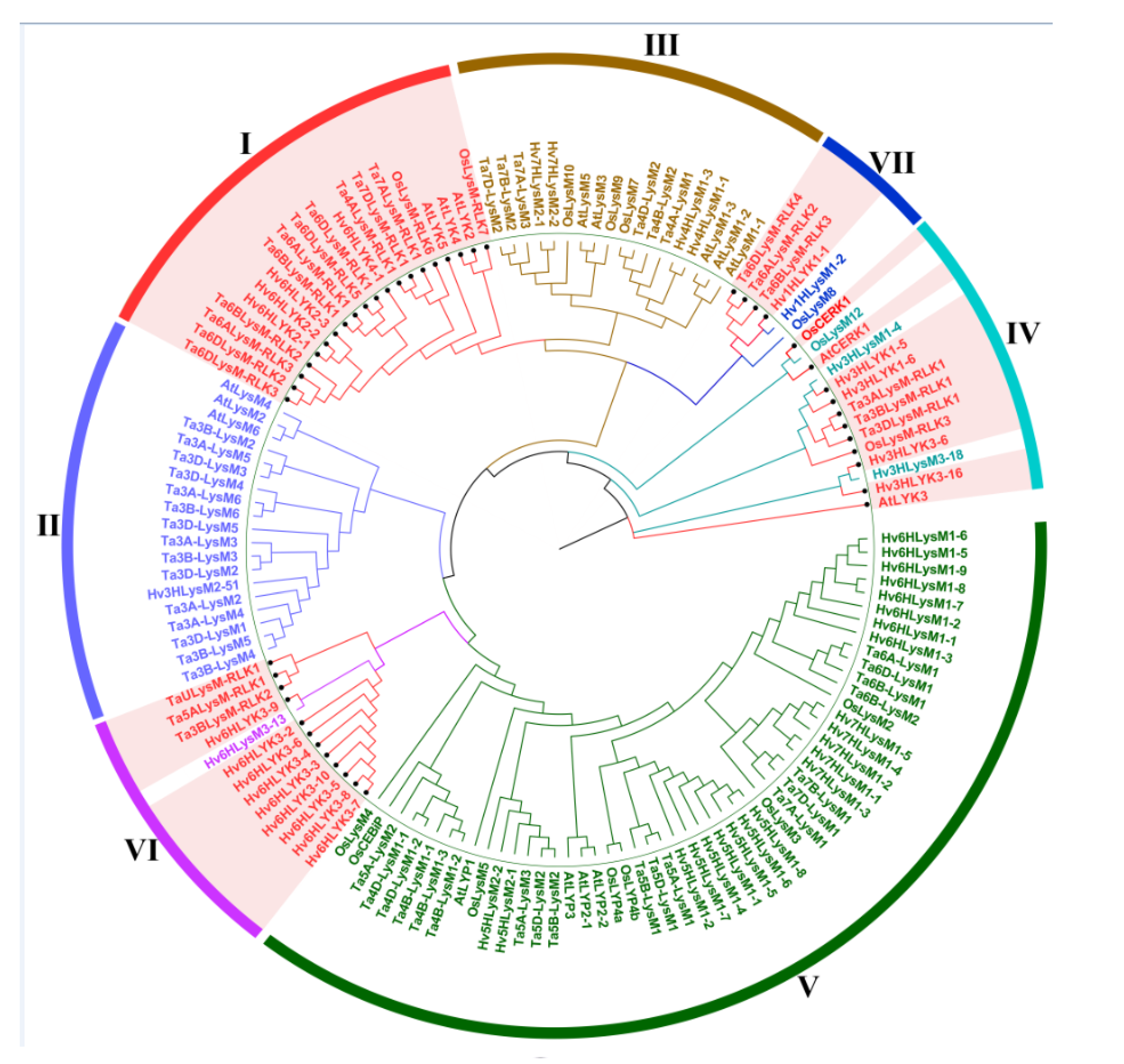 Genes 12 00031 g002 Genes 12 00031 g002