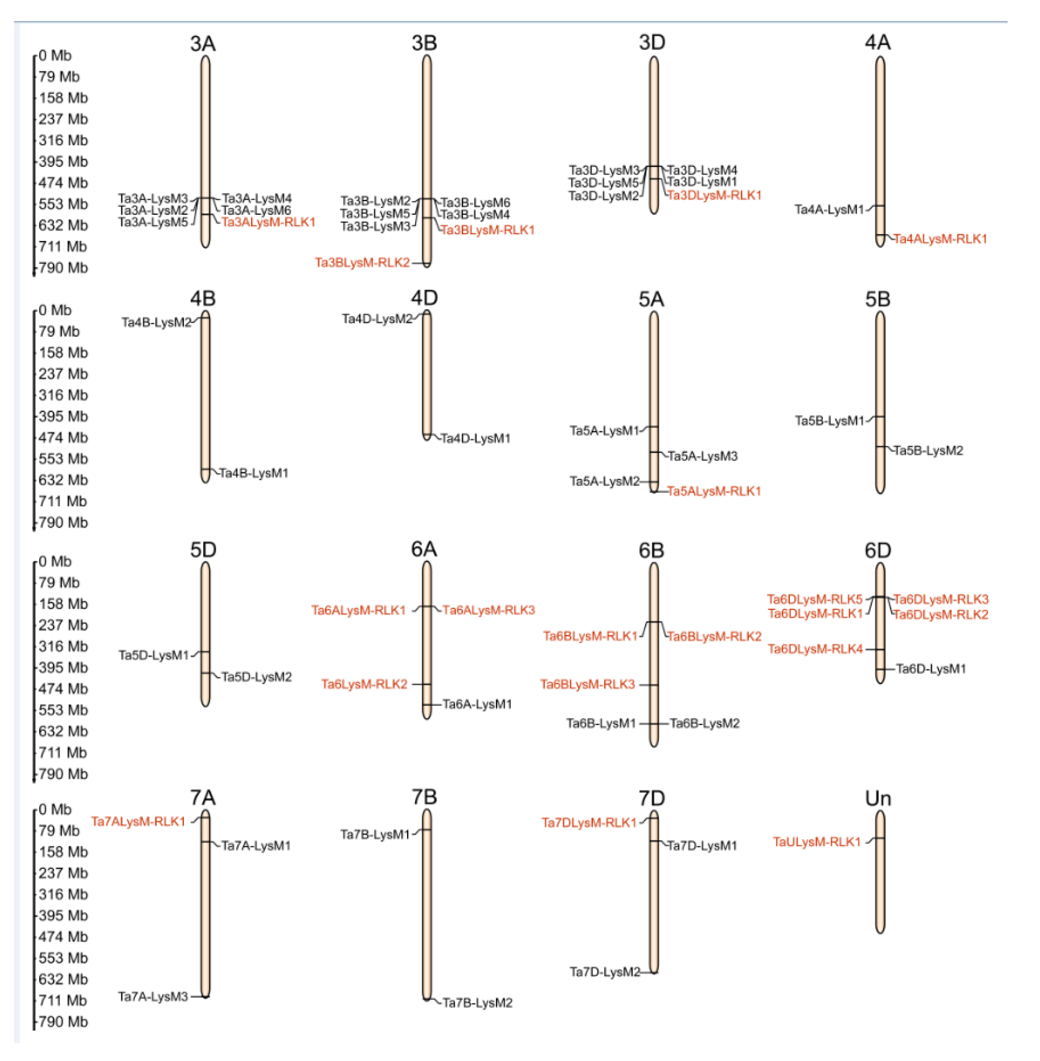 Genes 12 00031 g004 Genes 12 00031 g004