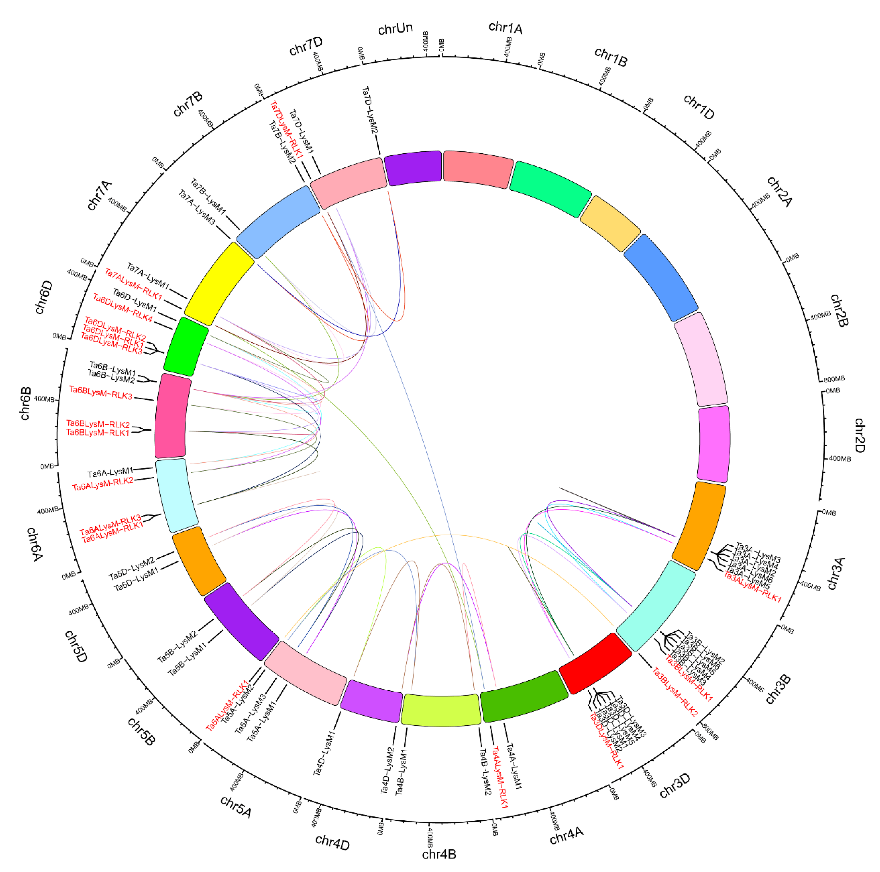 Genes 12 00031 g005 Genes 12 00031 g005