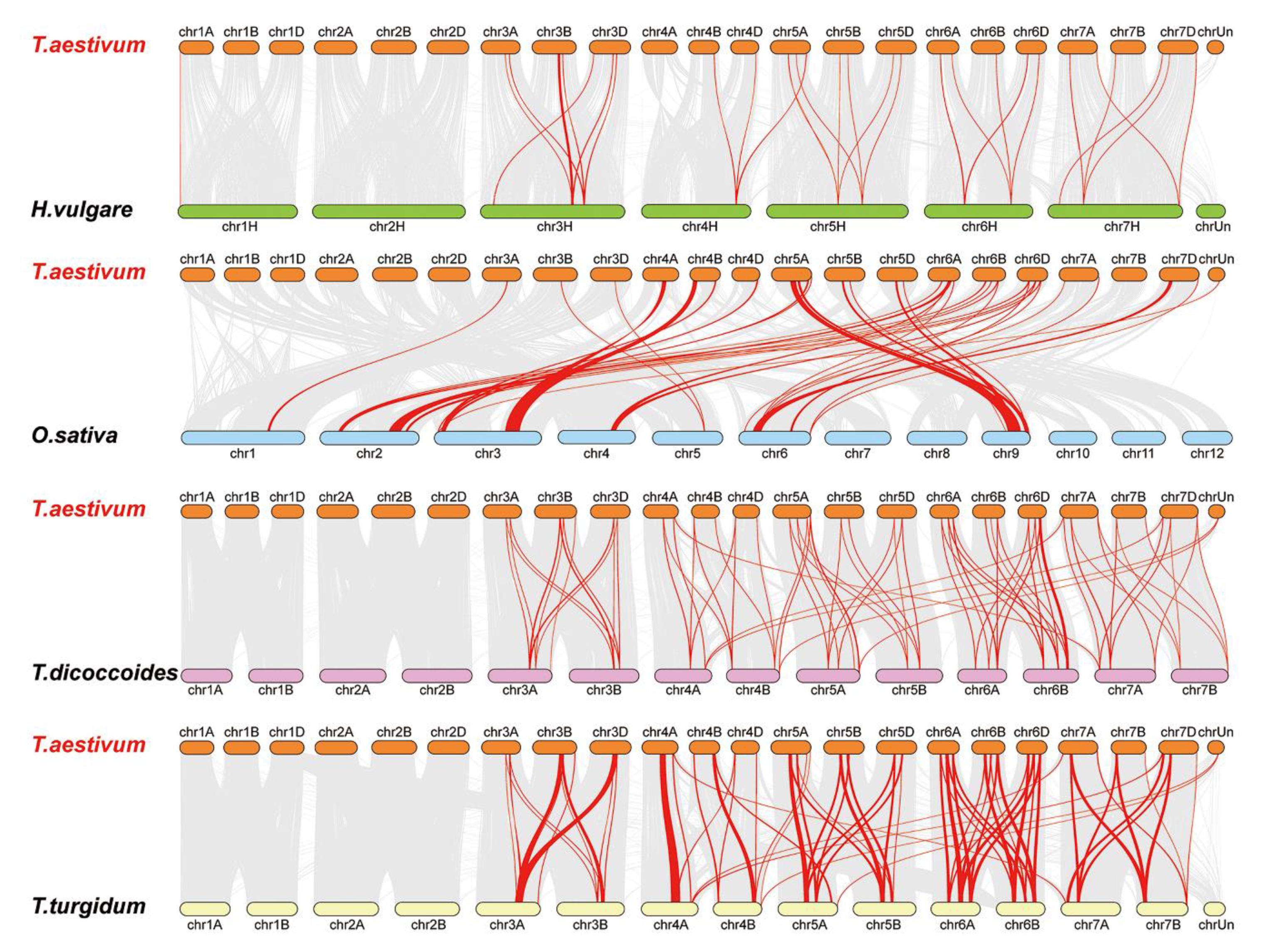 Genes 12 00031 g006 Genes 12 00031 g006