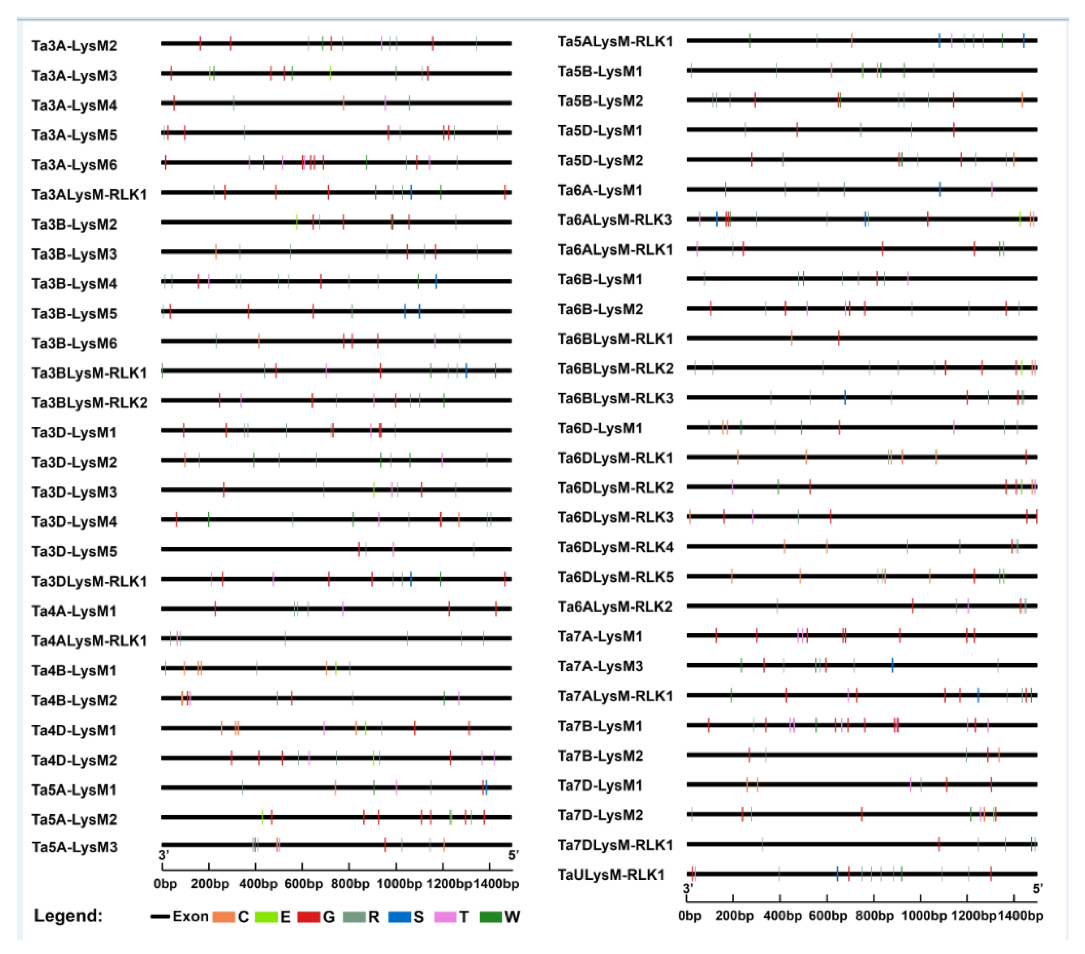 Genes 12 00031 g007 Genes 12 00031 g007